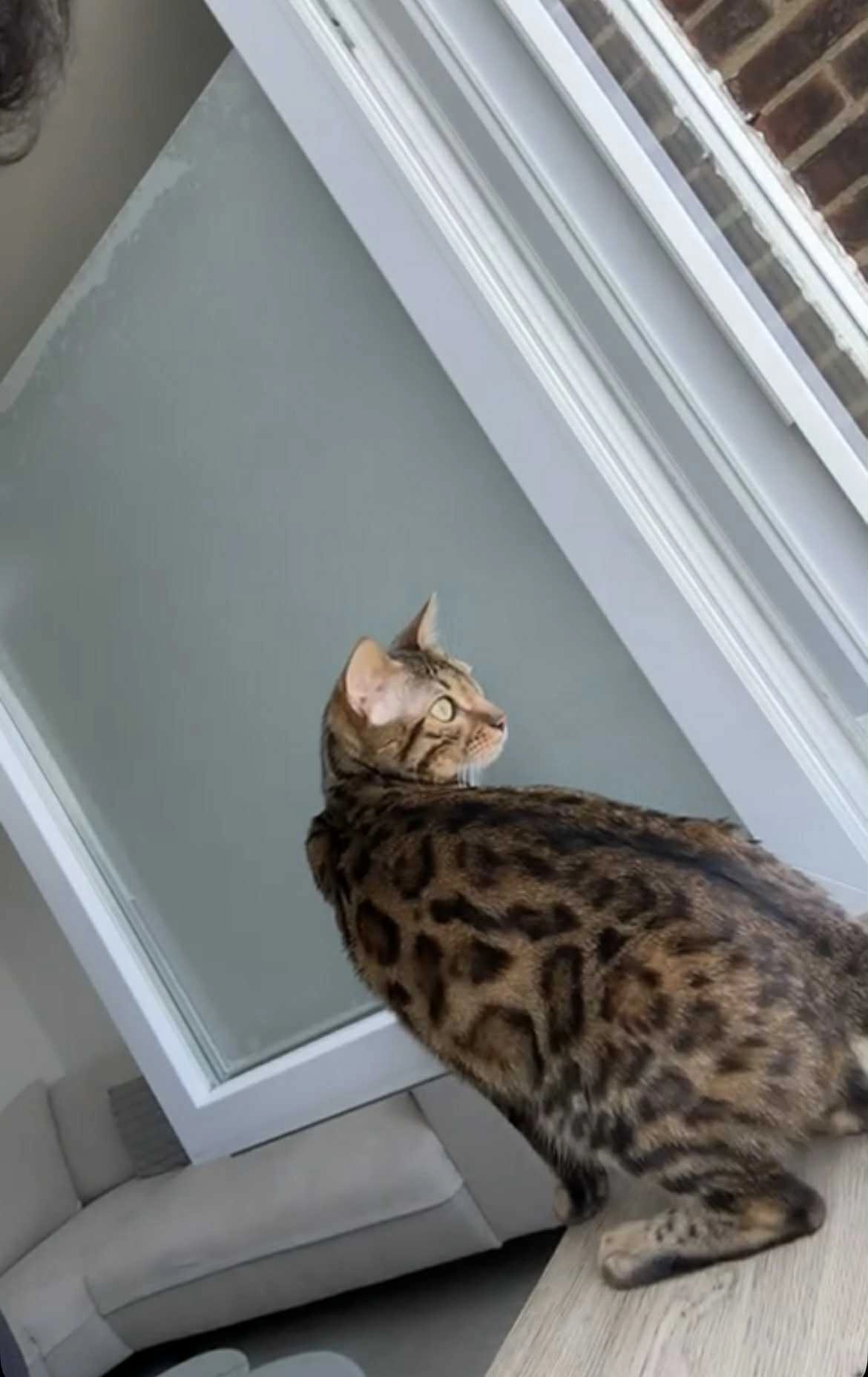 Zina - Rue Cité De Brouckère, Farciennes