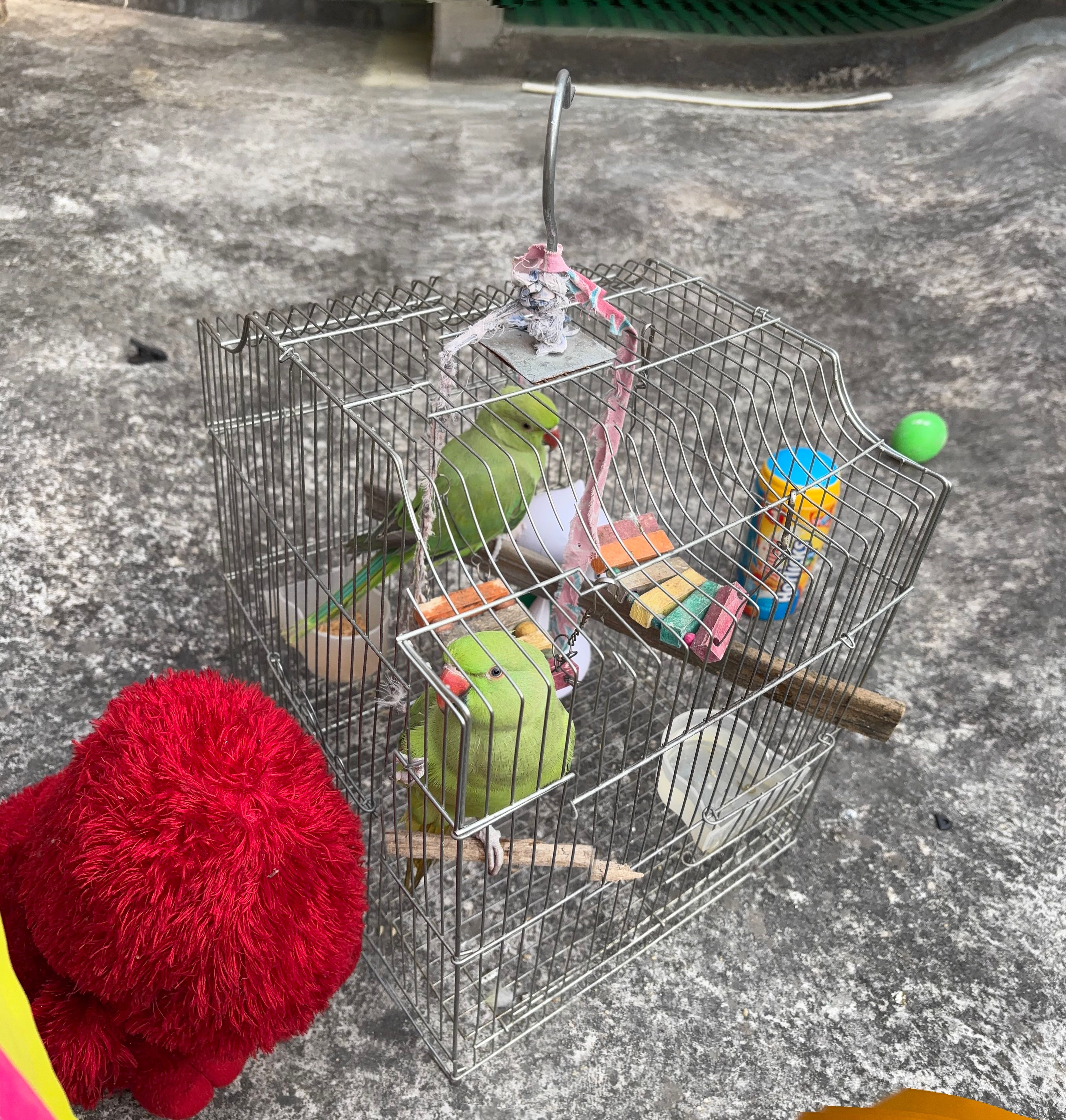 Mithu  - Ashiyana colony near dharamshala, Purabsarai,,Jamalpur Munger Road , Munger