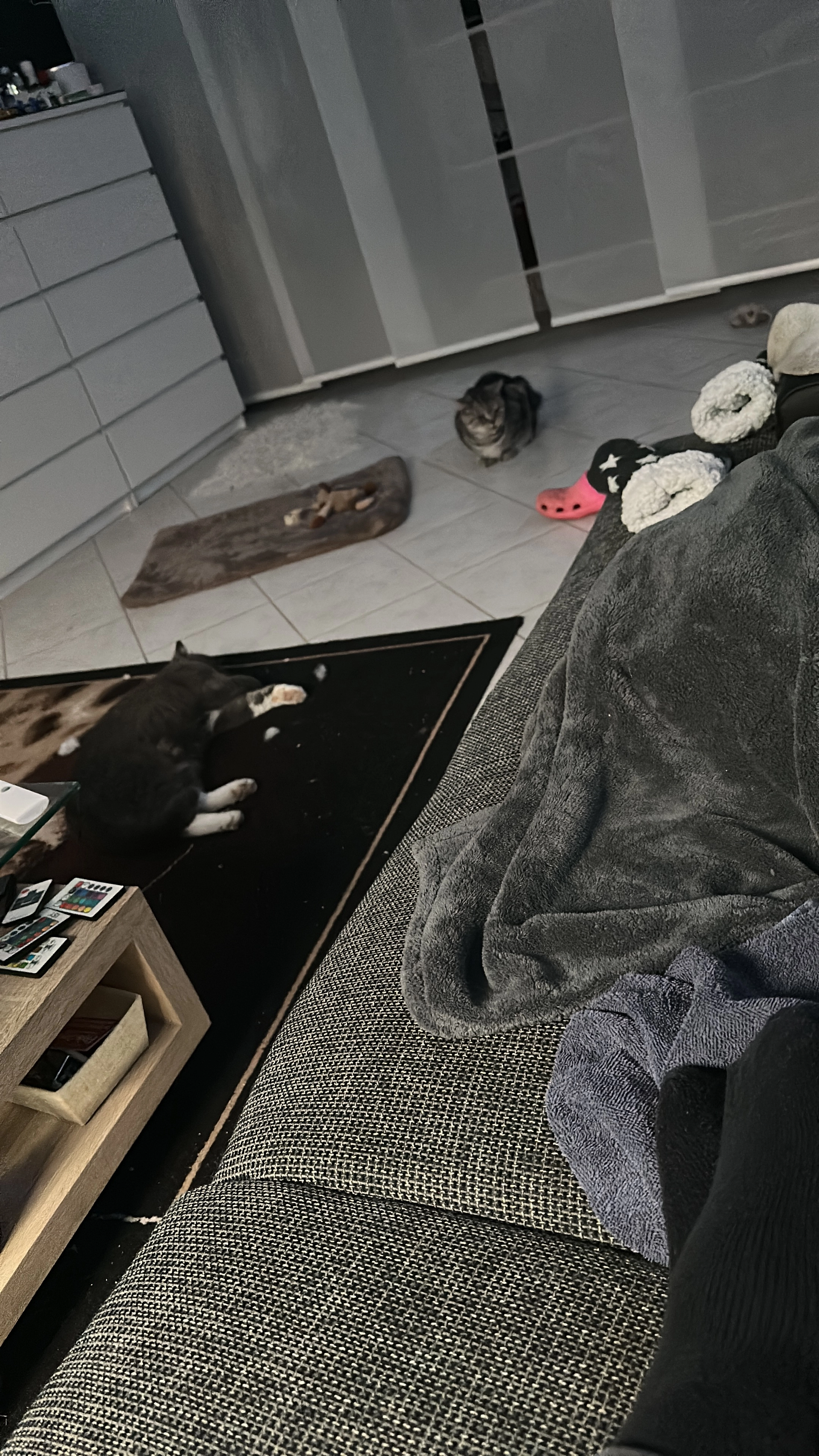 Sammy - Kornblumenweg, Wandlitz