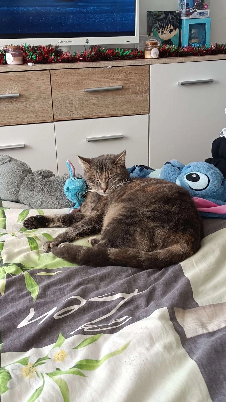 Amazon - Rue De La Blanchetière, La Suze-sur-Sarthe