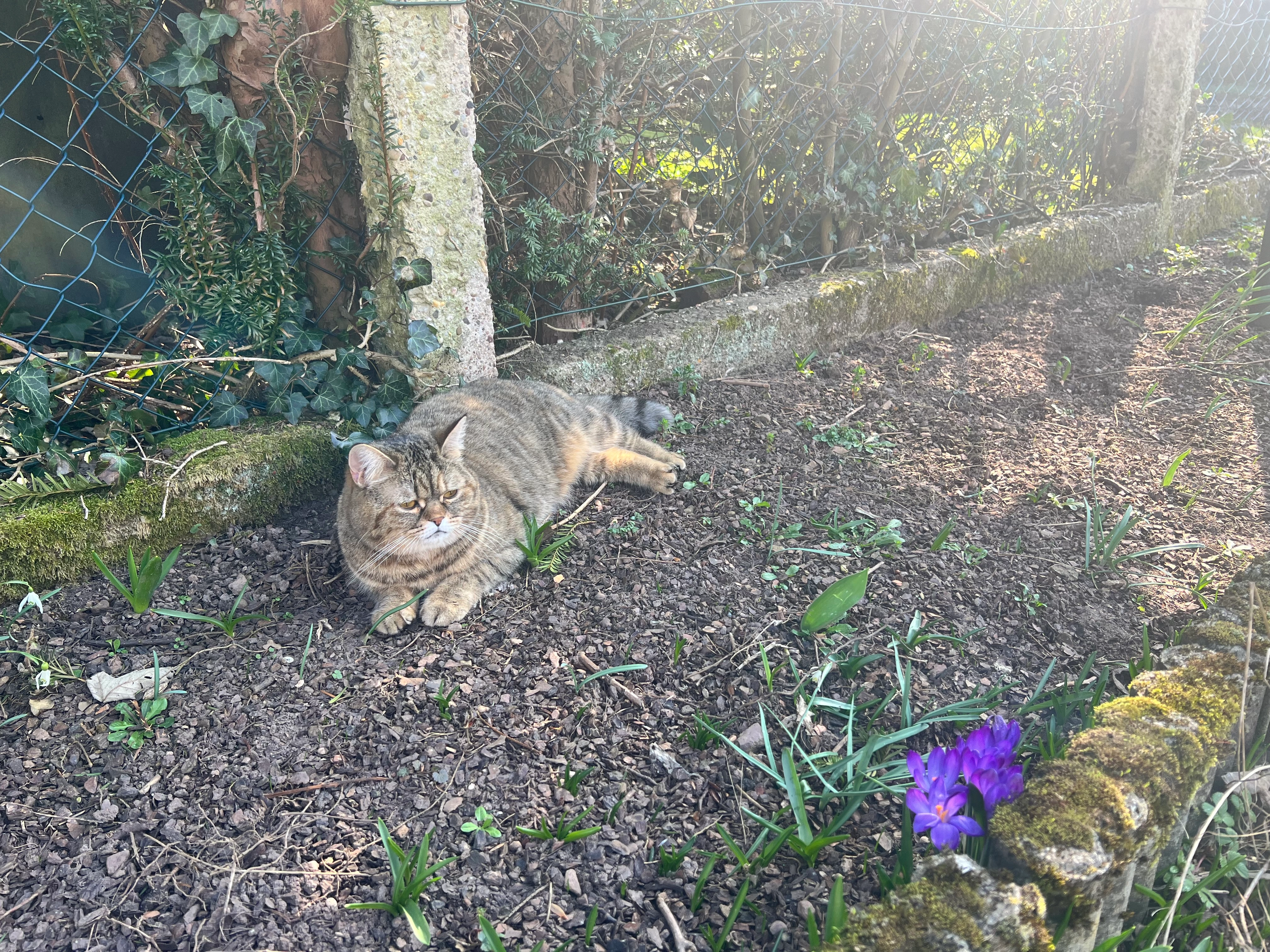 Lucy - Sedanstraße, Haan