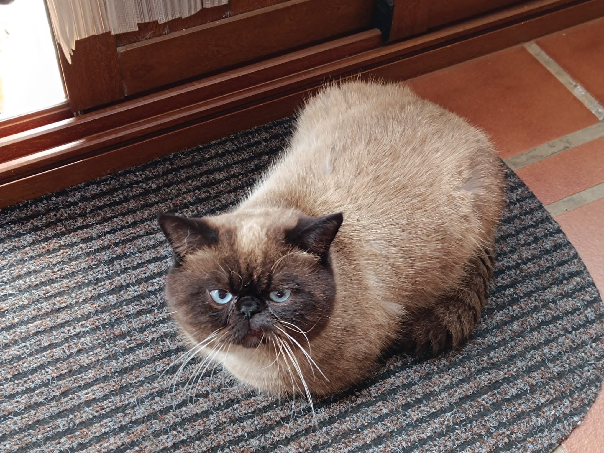 Gus - Calle Bella Bahía, El Puerto de Santa María