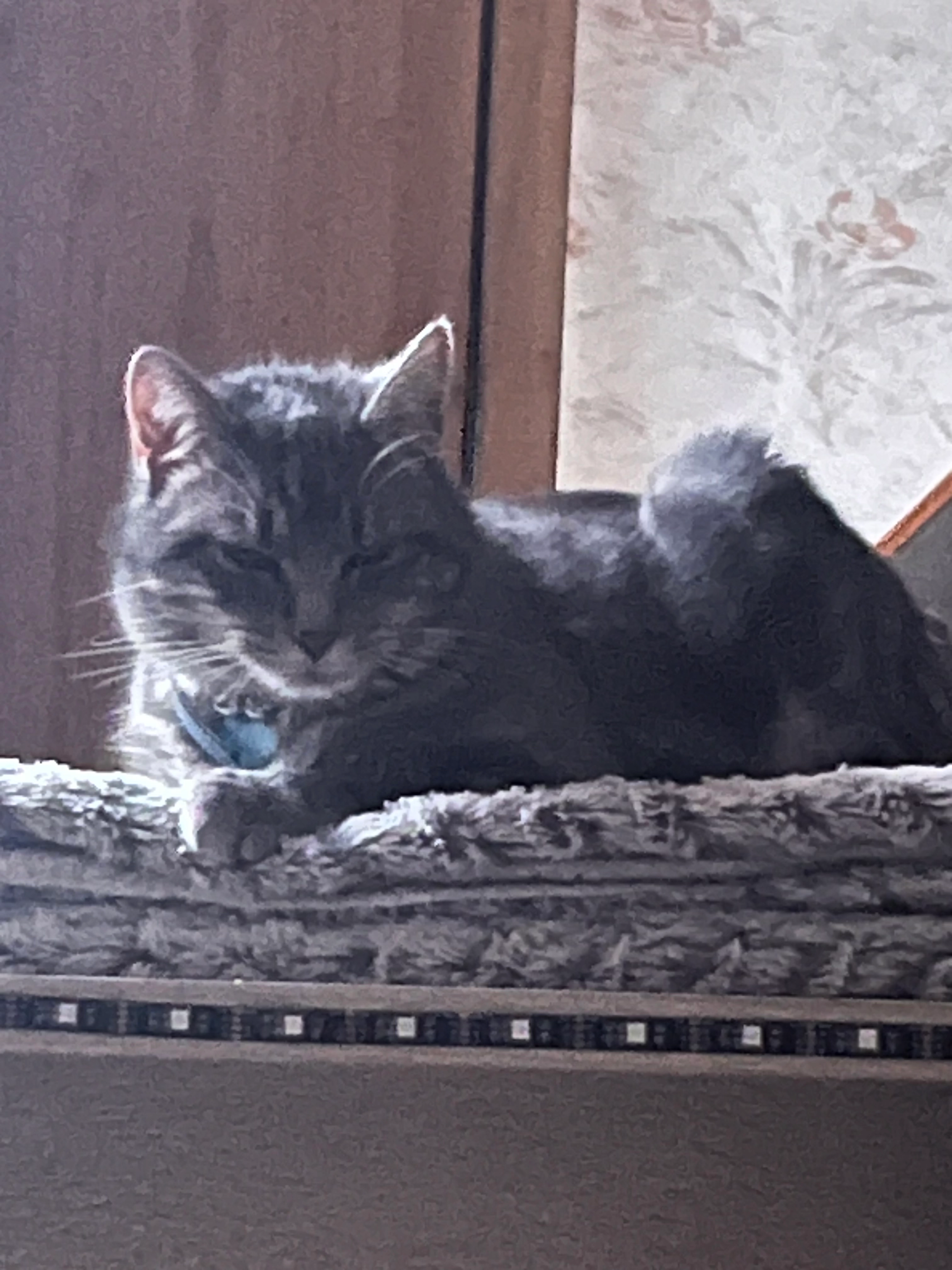 Yuki - Rue Berlioz, Pont-du-Château