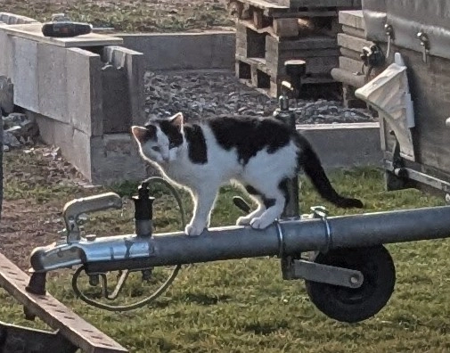 Malu (Miezi) - Zum Frauengrund, Rauschenberg