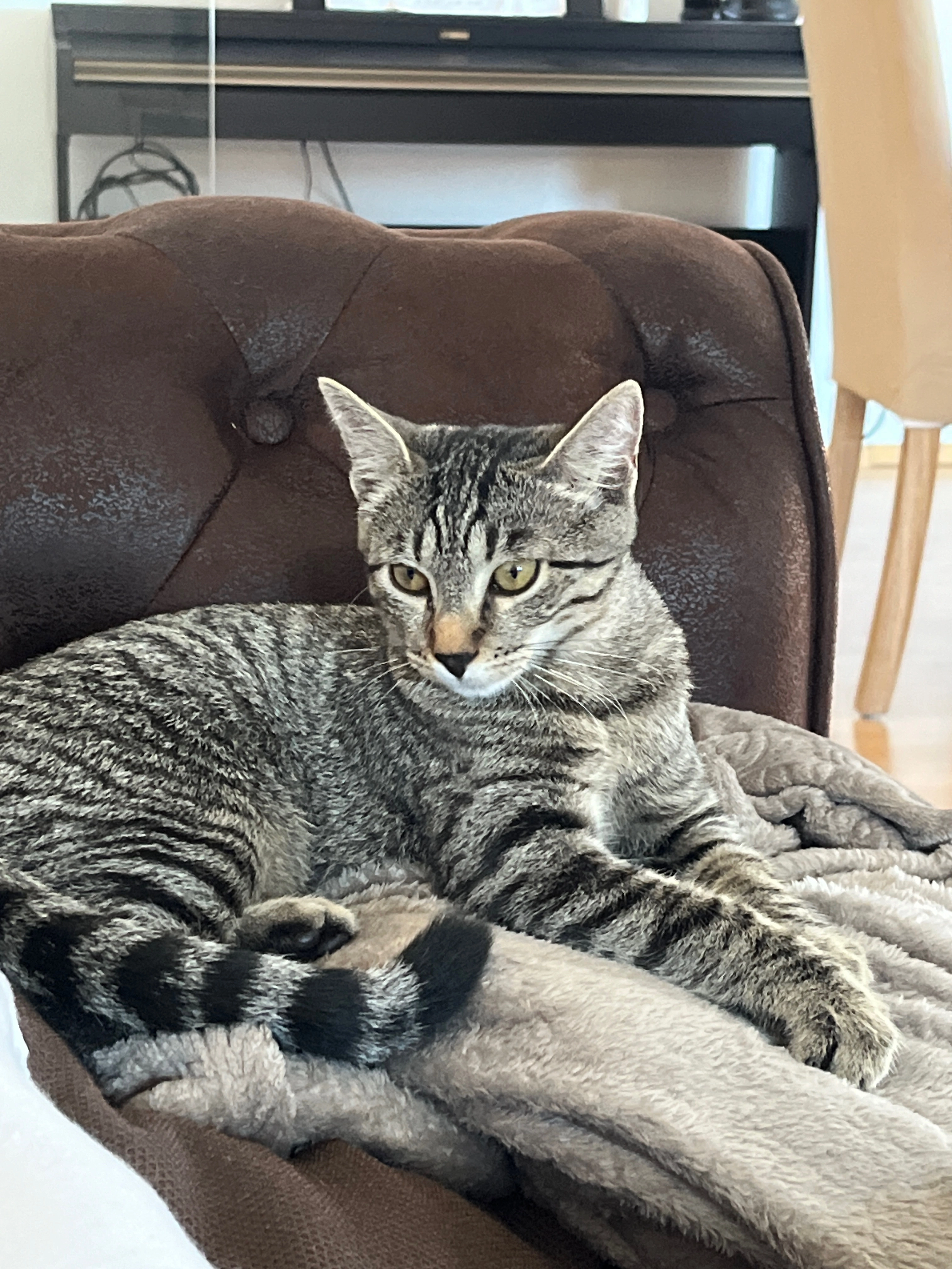 Maki - Christophstraße, Winnenden