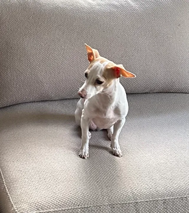 Princess - 1285 NW 29th Ter, Miami
