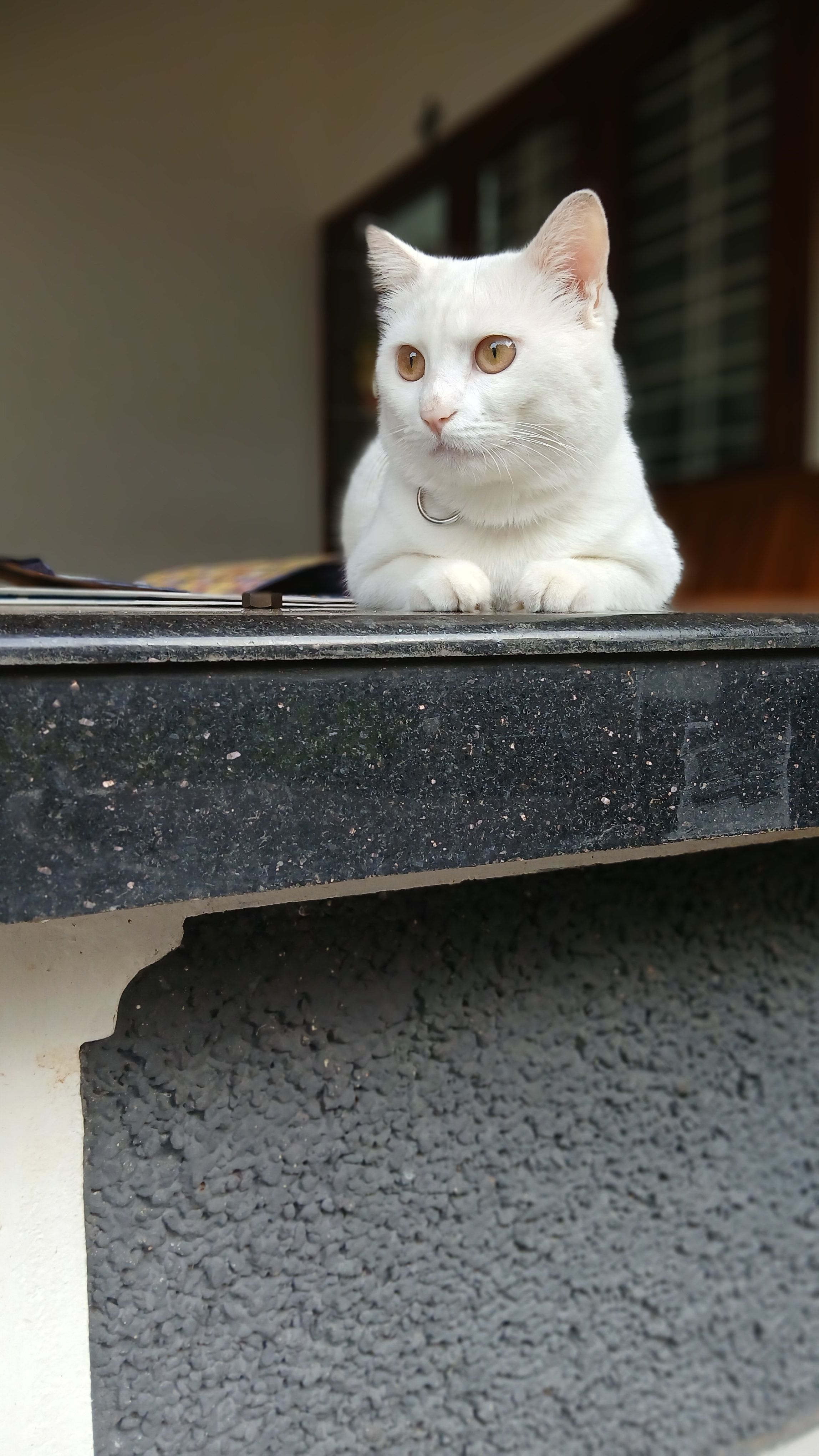 Venku - Aramana Rd, Kozhikode
