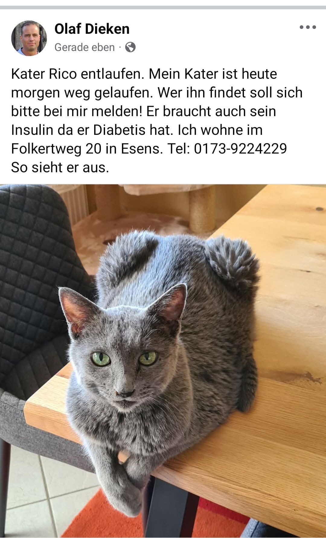 Rico - Ommoweg, Esens