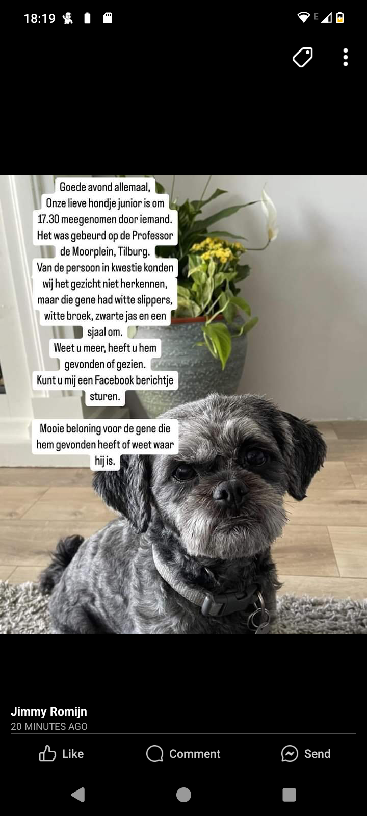 Junior - Professor de Moorplein, Tilburg