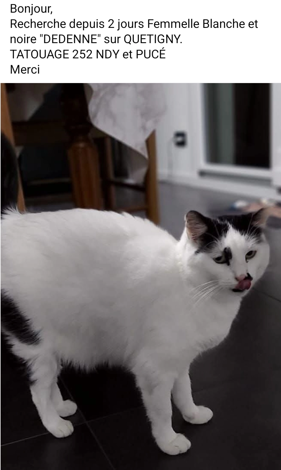 DEDENNE - Rue Pierre Maitre, Quetigny