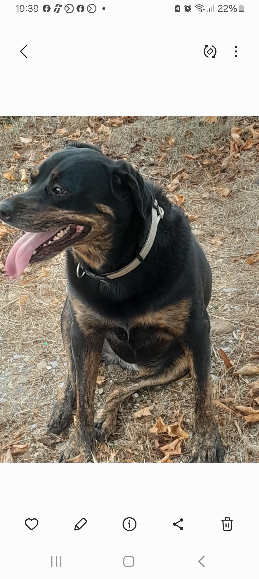 HOPE - Località Paoletti, Altopascio