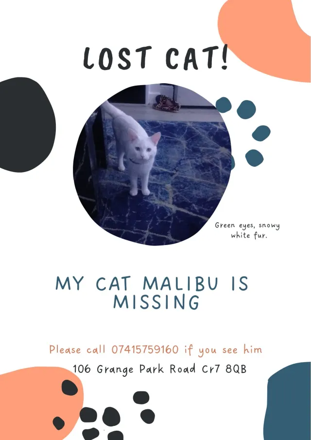malibu  - Grange Park Road, Thornton Heath