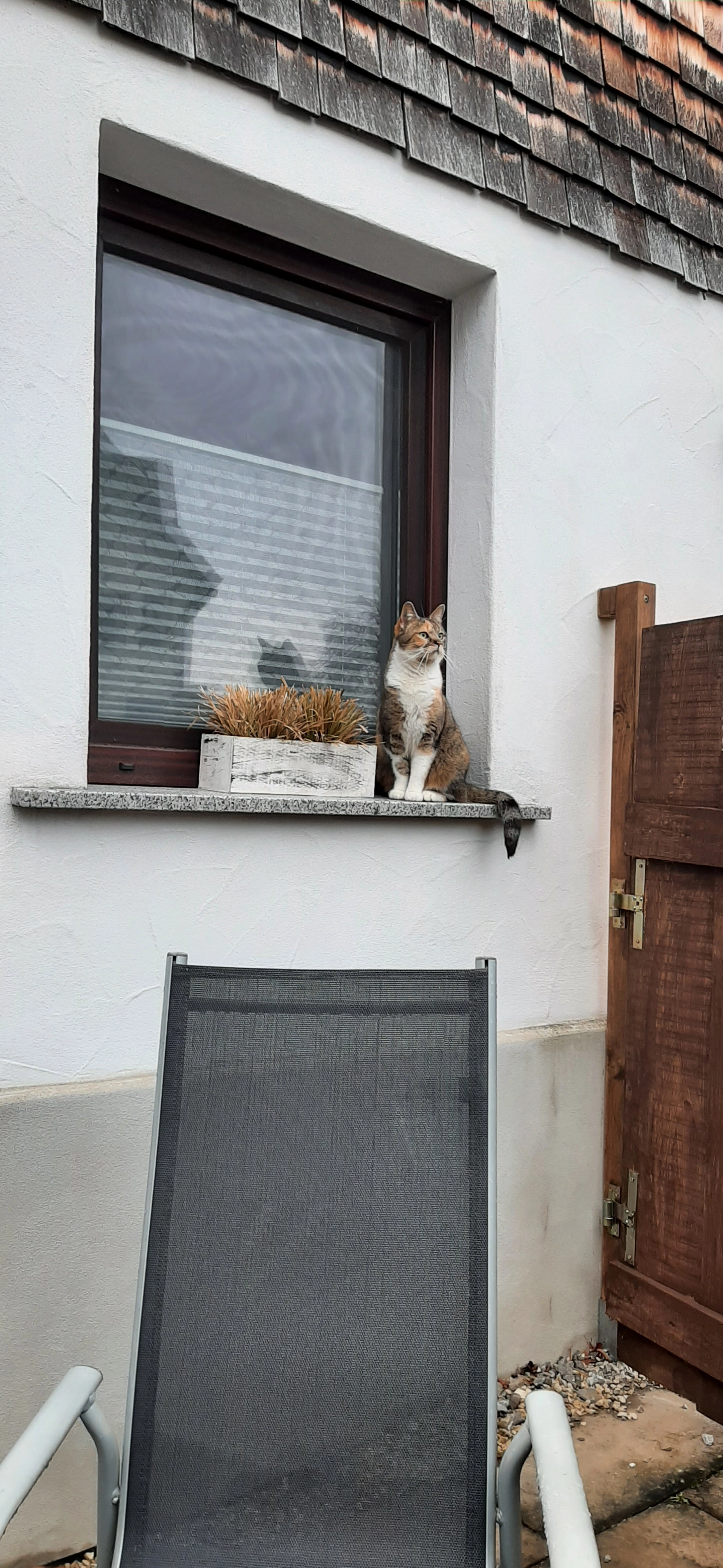 Juna - 72401, Haigerloch