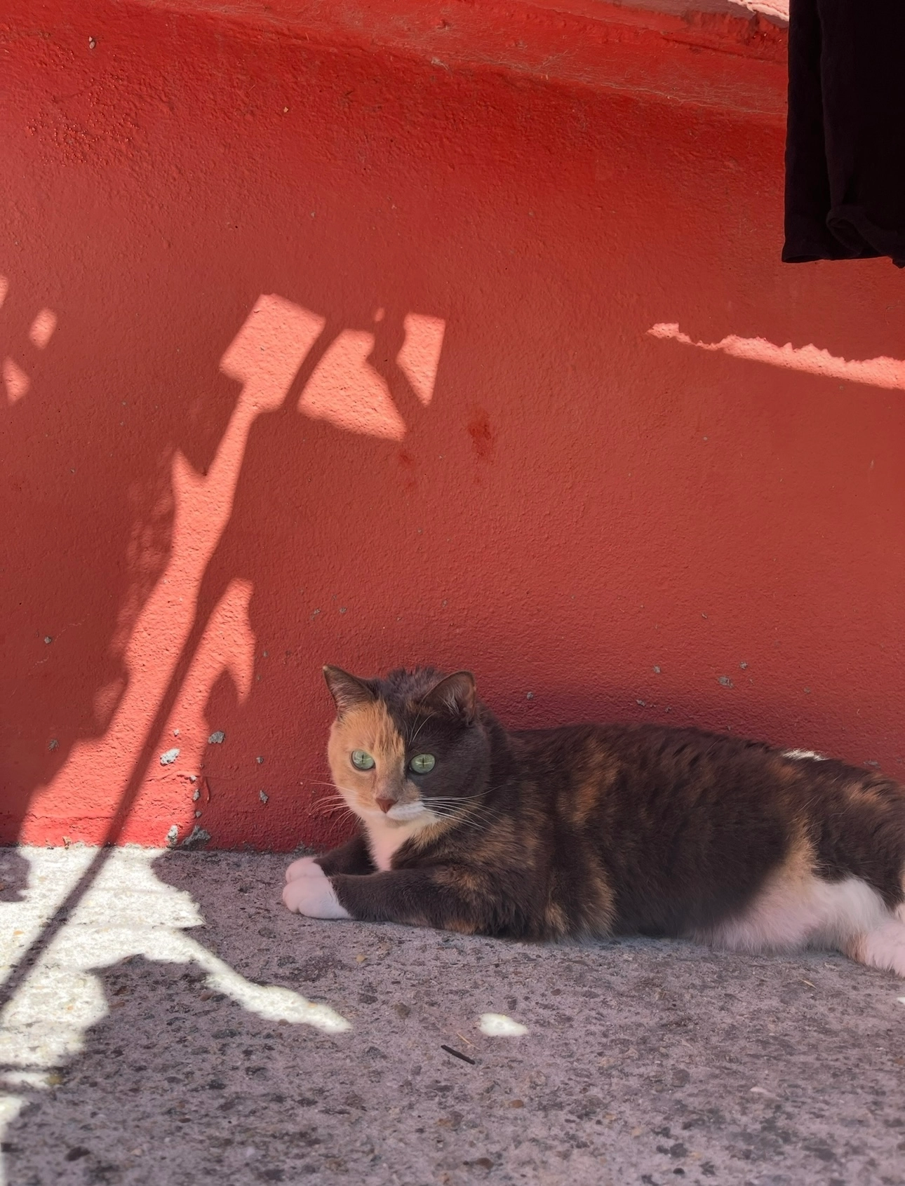 Gaïa - Rue du Moulin, Dompierre-sur-Yon