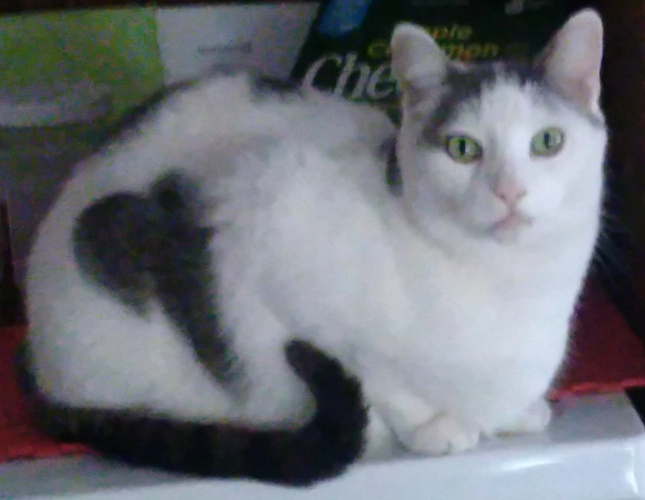 Finnegan - Beverley Drive, Frinton-on-Sea