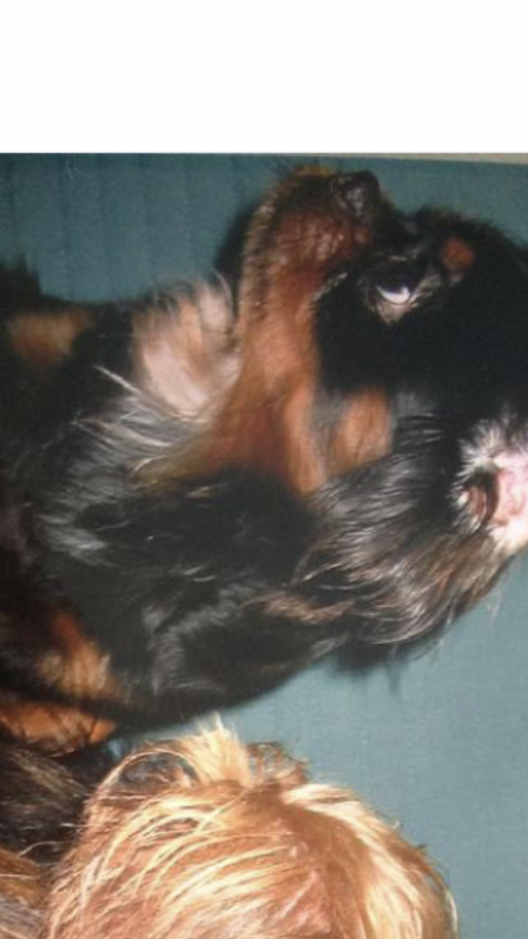 Baby - Groß-Hasenbach-Straße, Offenbach am Main