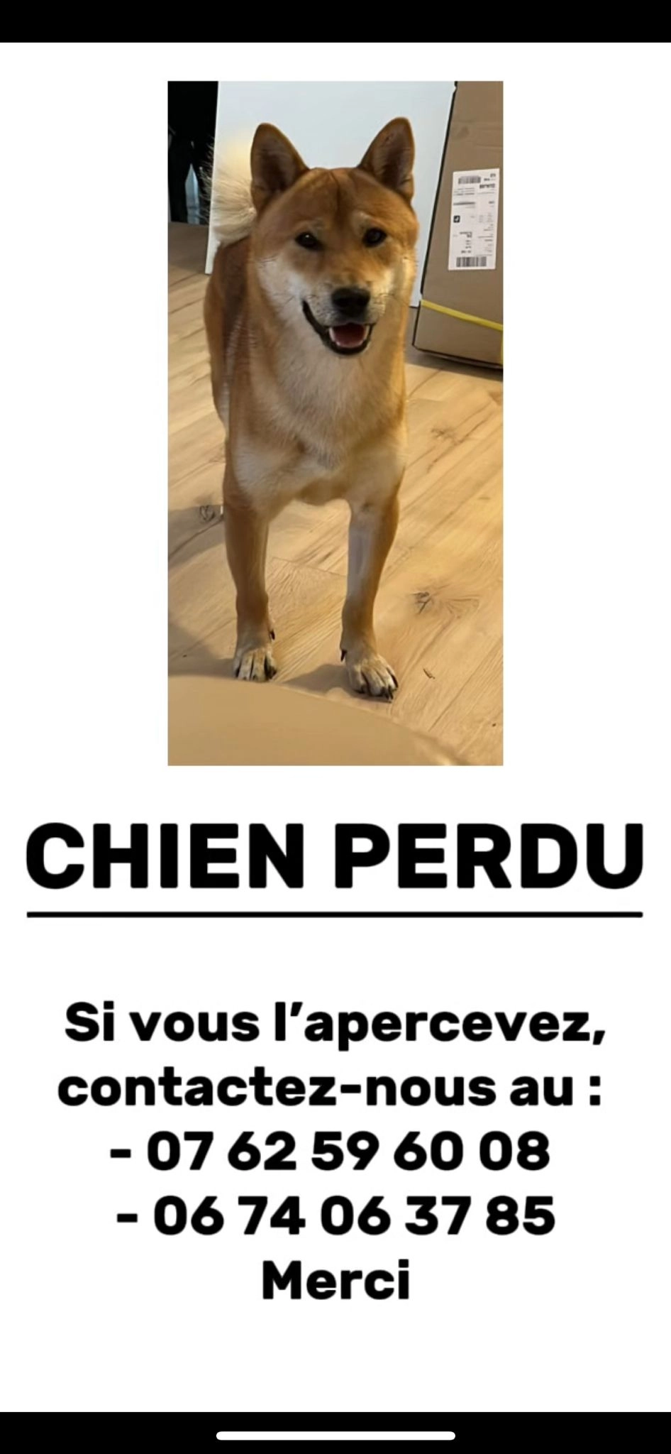 Rocky  - Avenue Carnot, Conflans-Sainte-Honorine