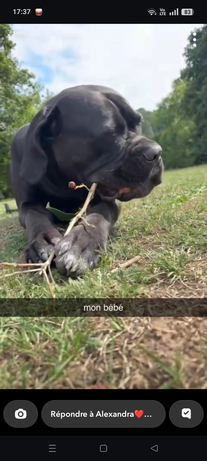 Ulka - Église de Glisolles, Glisolles