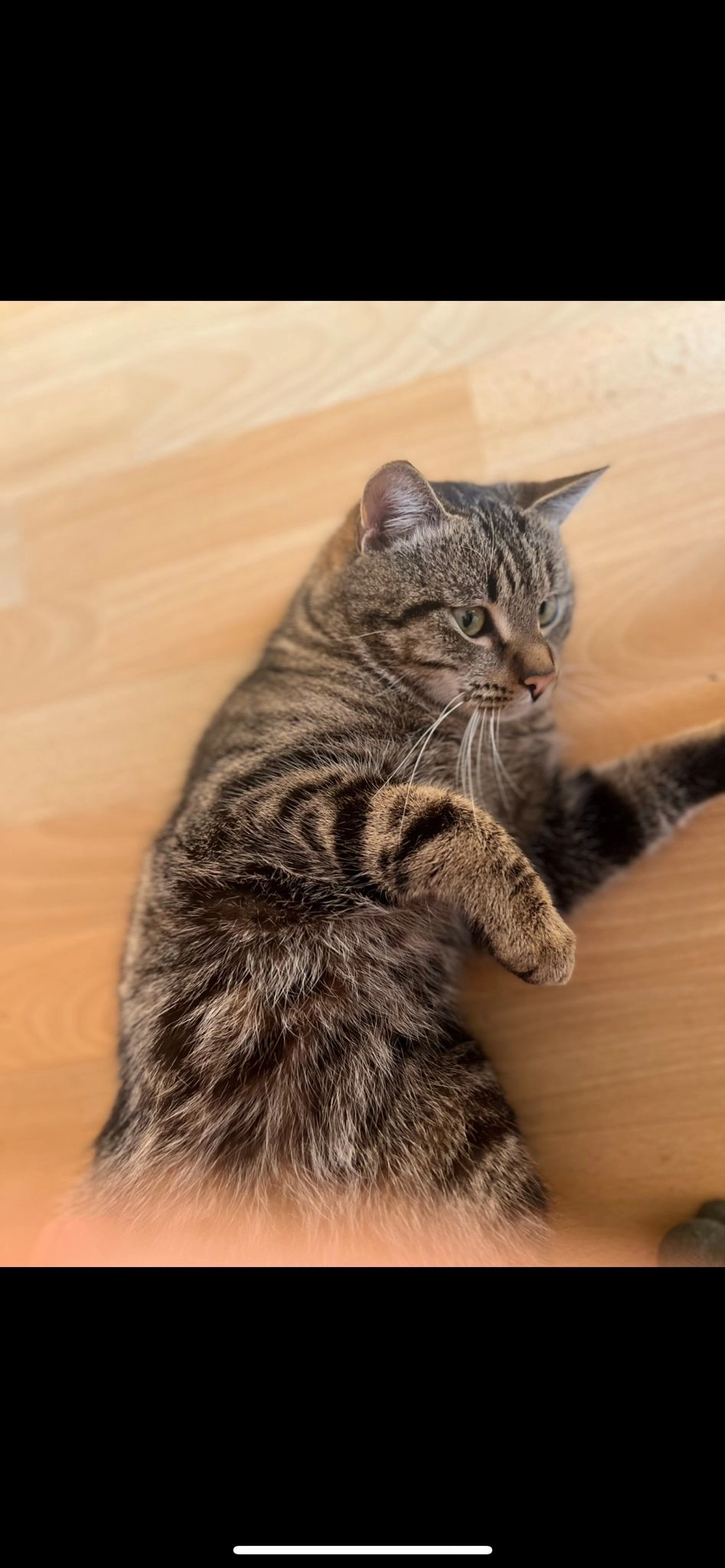 Teiger - Hauptstraße, Clausen