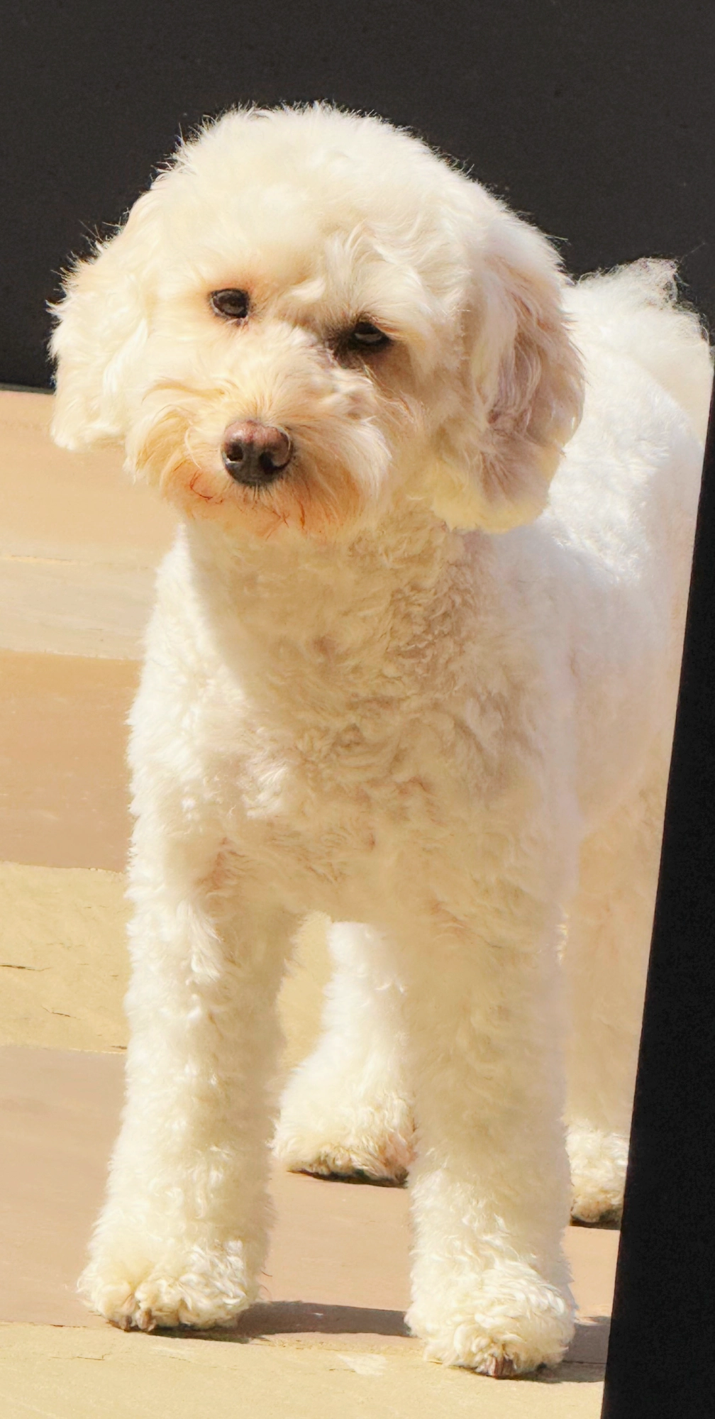 Sky - High Street, Northampton