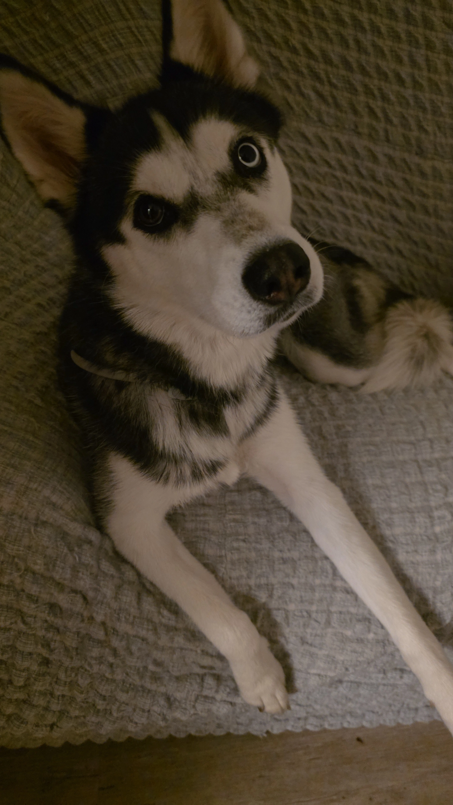 Uta - 100 Avenue Émile Labussière, Limoges