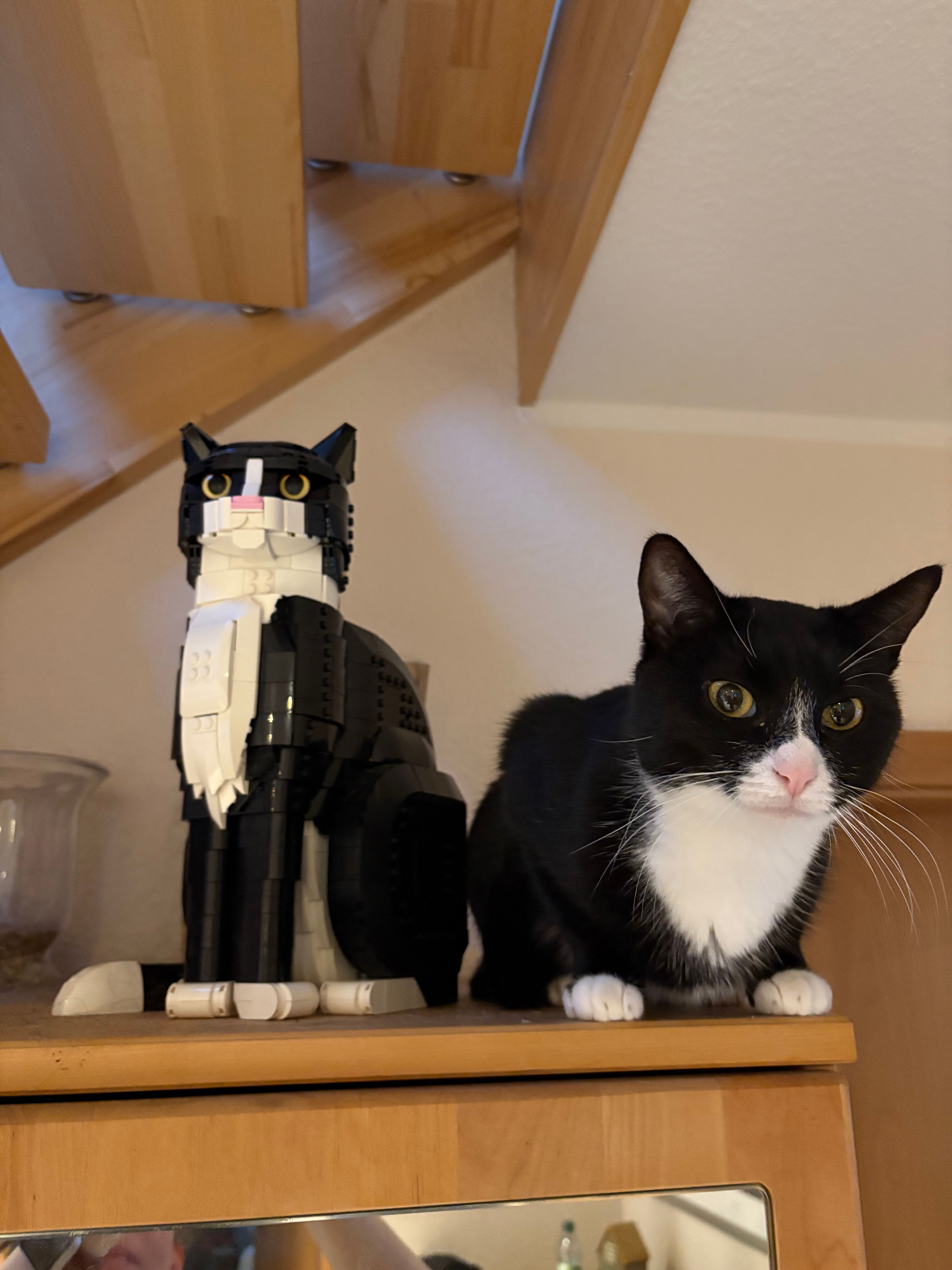 Peach - Albignystraße, Ringsheim