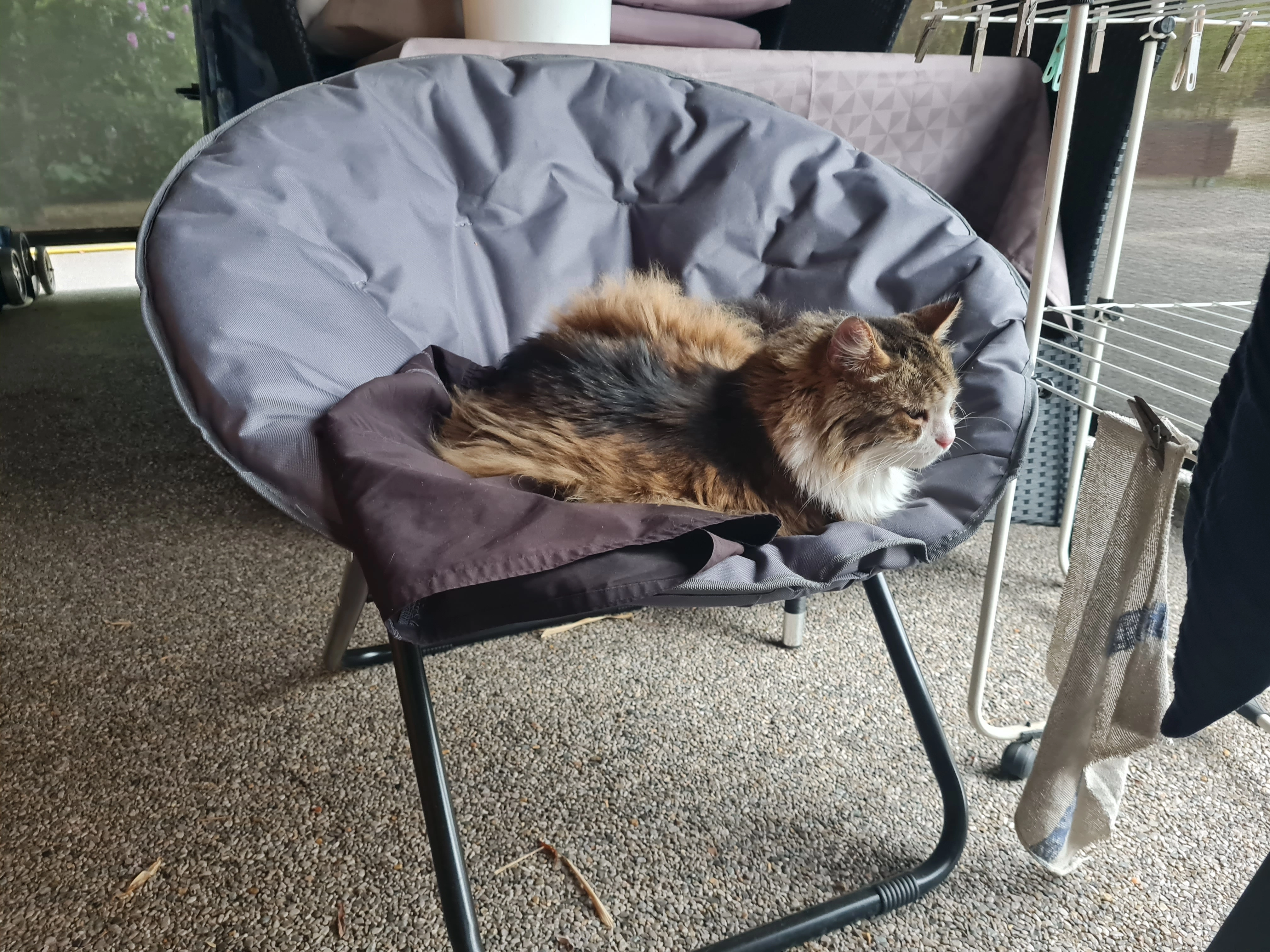 Chmicha - Route Du Chamolay, Les Avenières