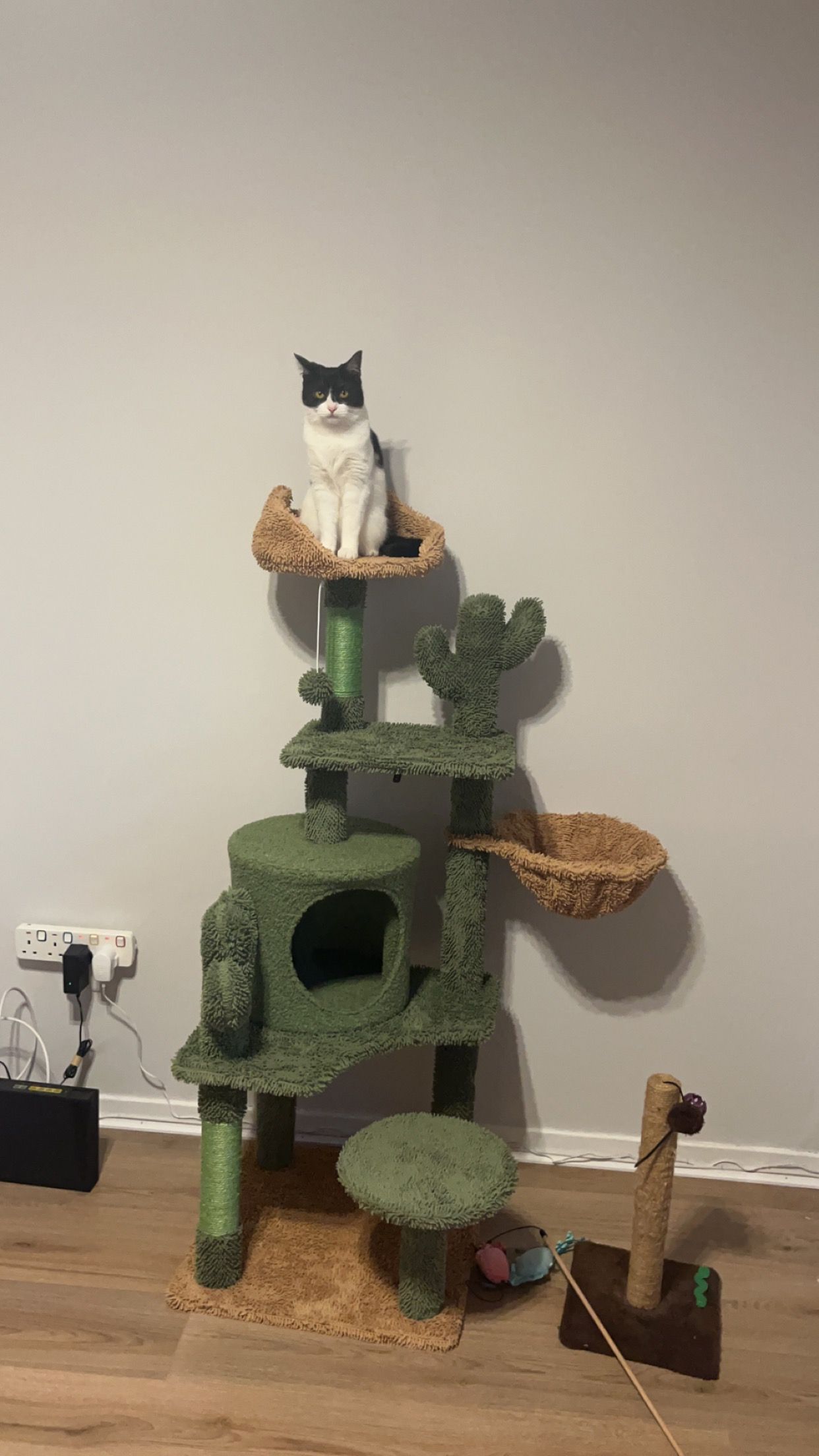 Keiko - Castle View, Longniddry