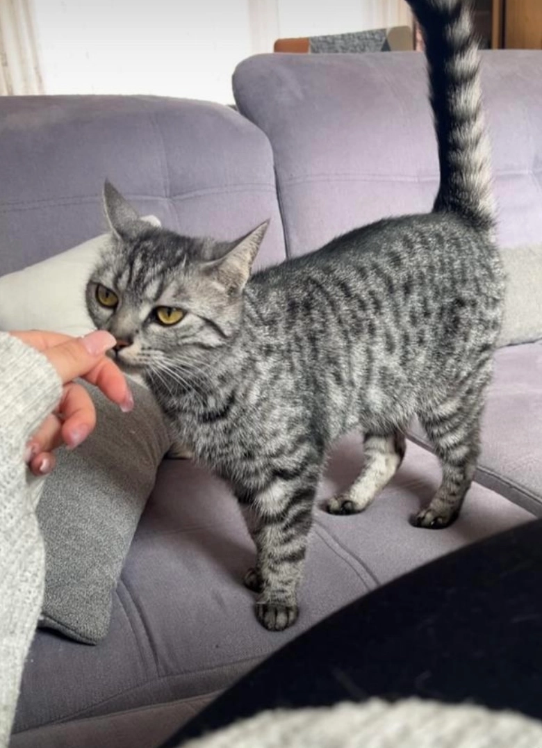 Malia - Schreiberstraße, Filderstadt