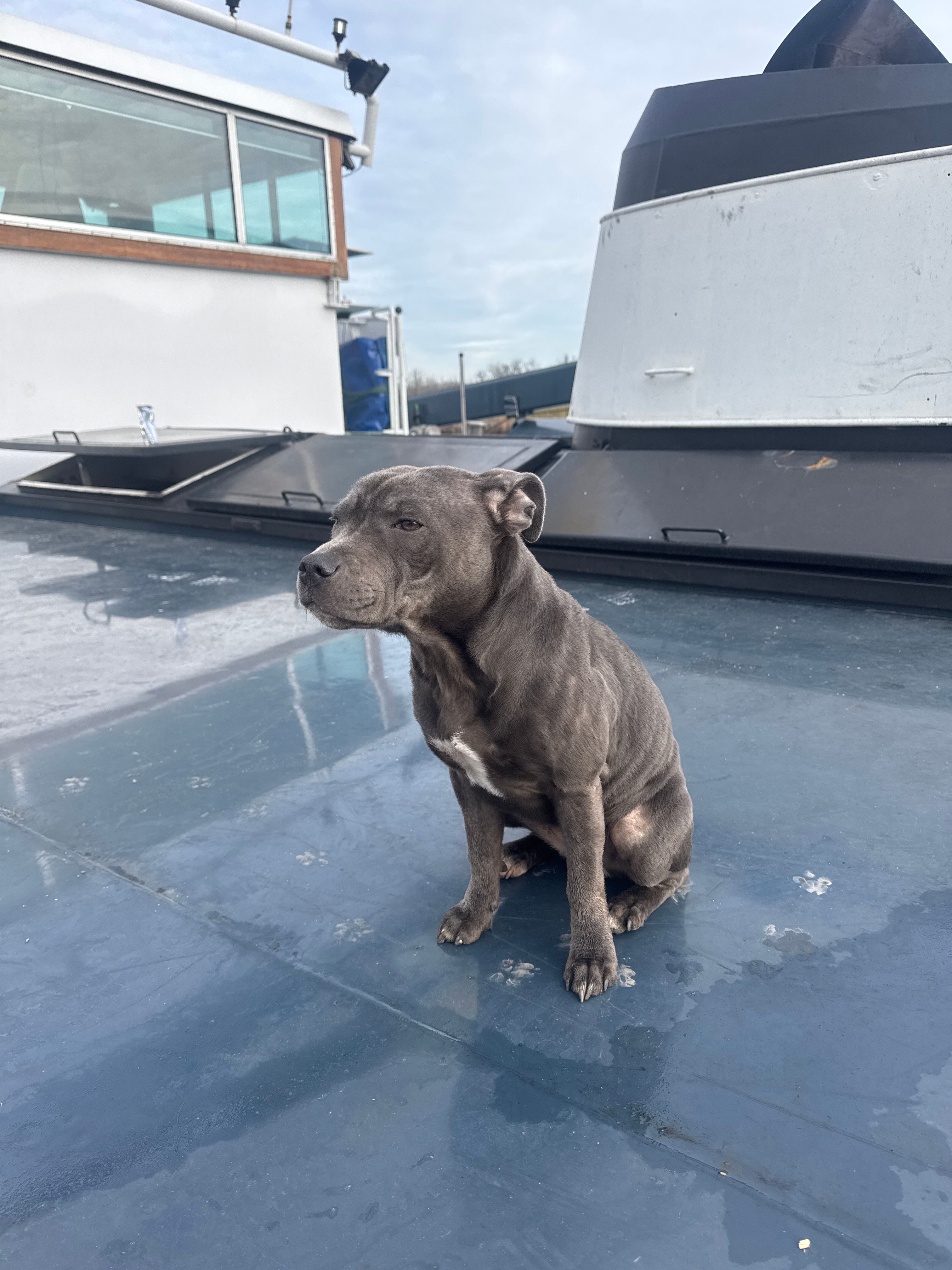 Laila - Oostkaai, Antwerpen