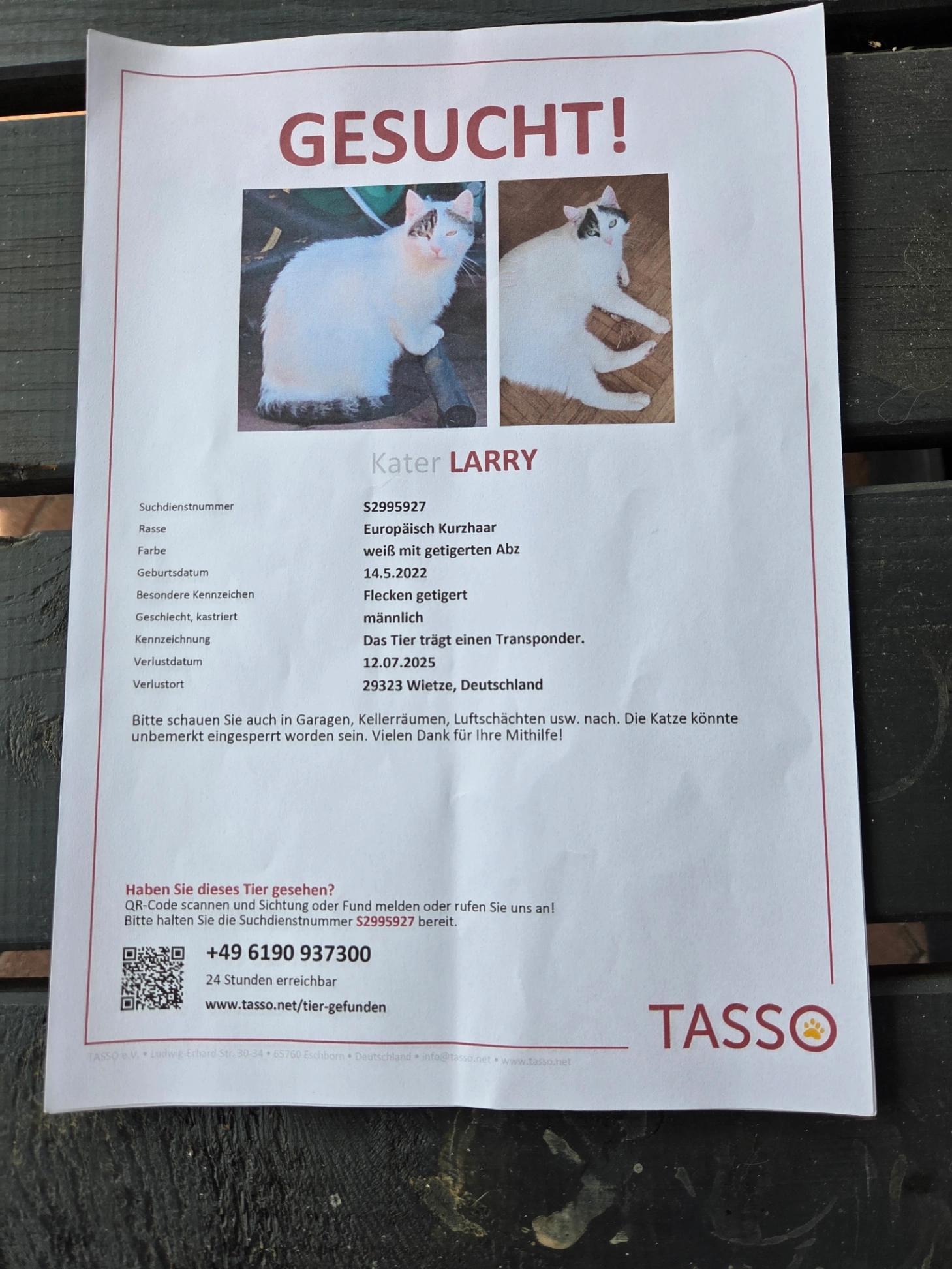 Larry - Neddelförd, Wietze