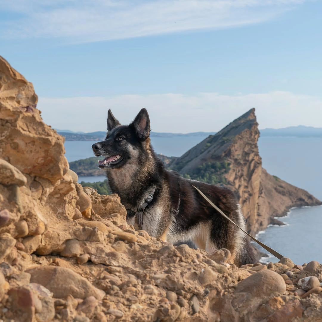 Kiara - Chemin De La Batterie, La Turbie