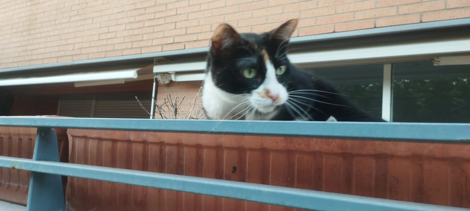 Alma - Calle Tramontana 29, Pozuelo de Alarcón