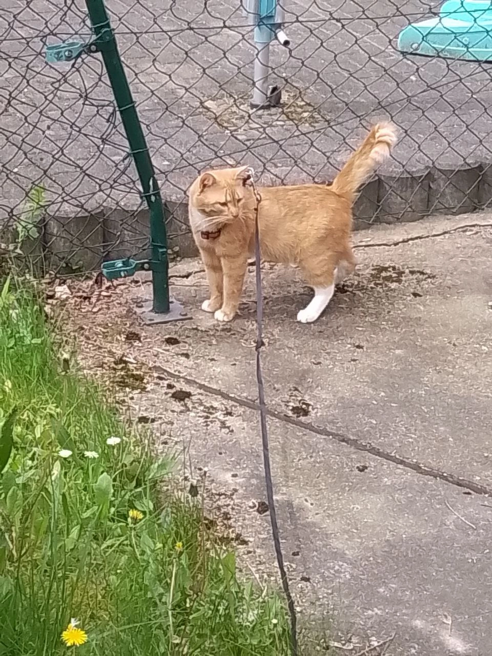 Chance  - Bernhardstraße, Chemnitz