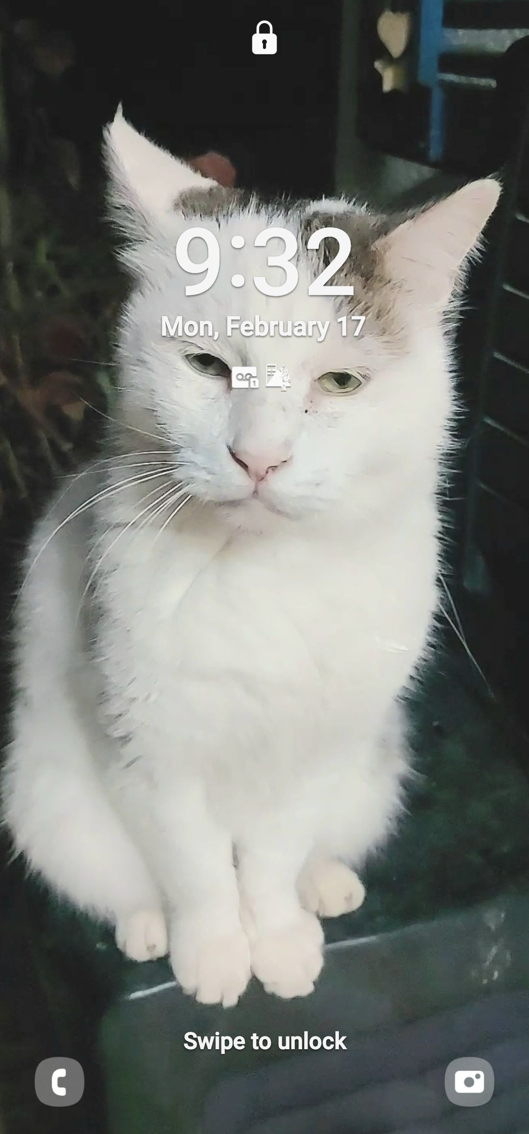 Chuchi - Aliya, Afula