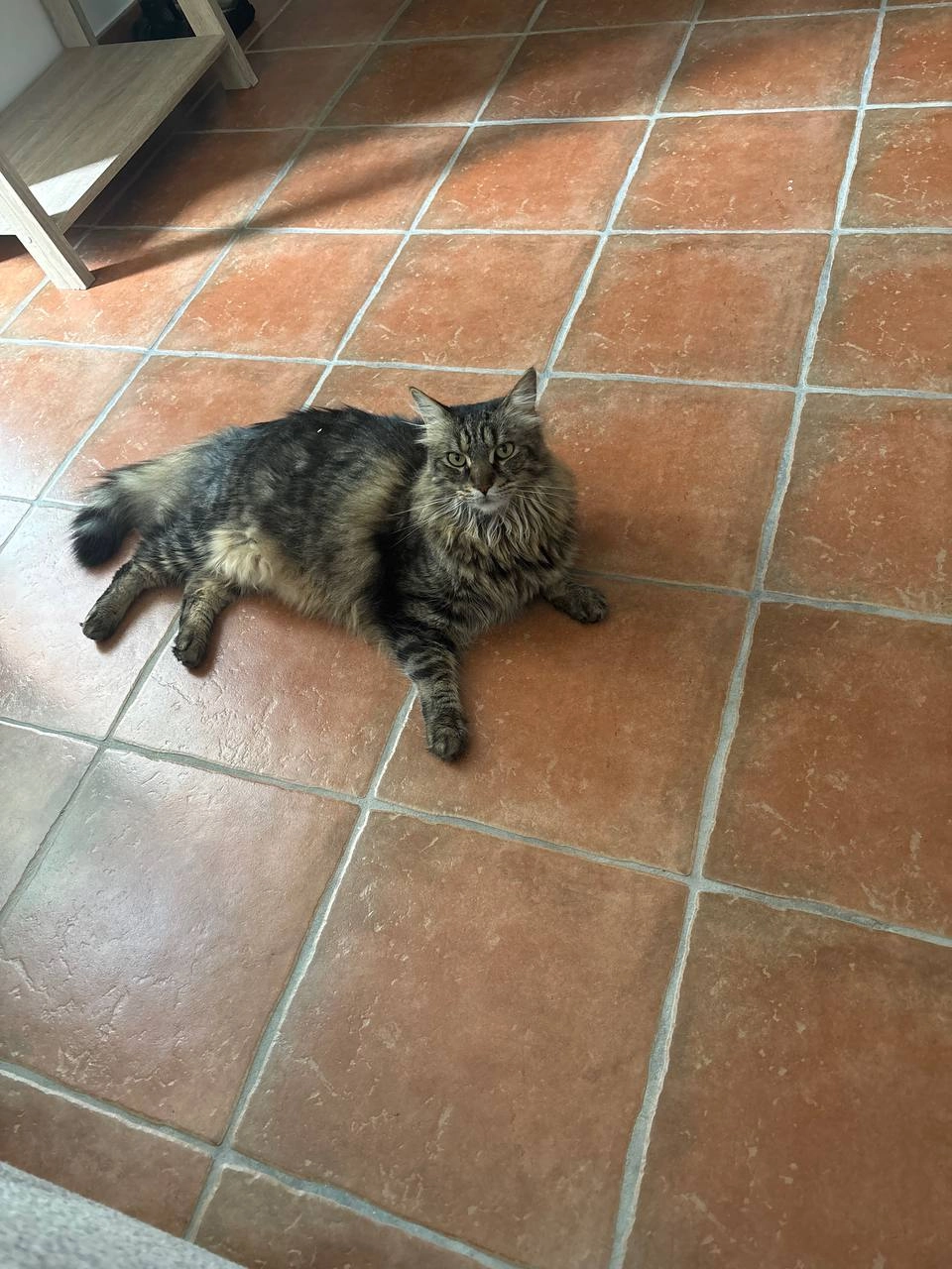 Livaï  - 1 Grand'Rue, Brens