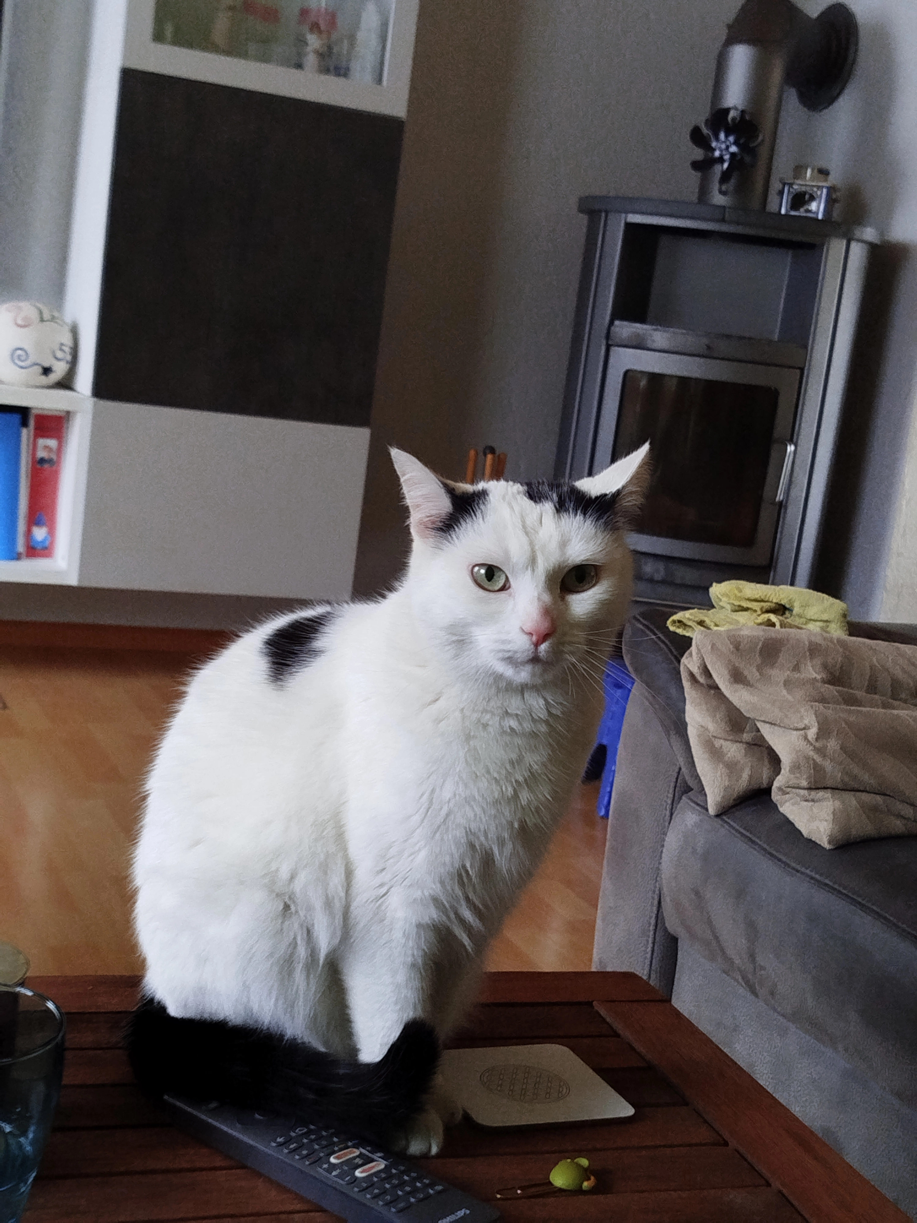 Polly - Hofstattstraße, Völklingen