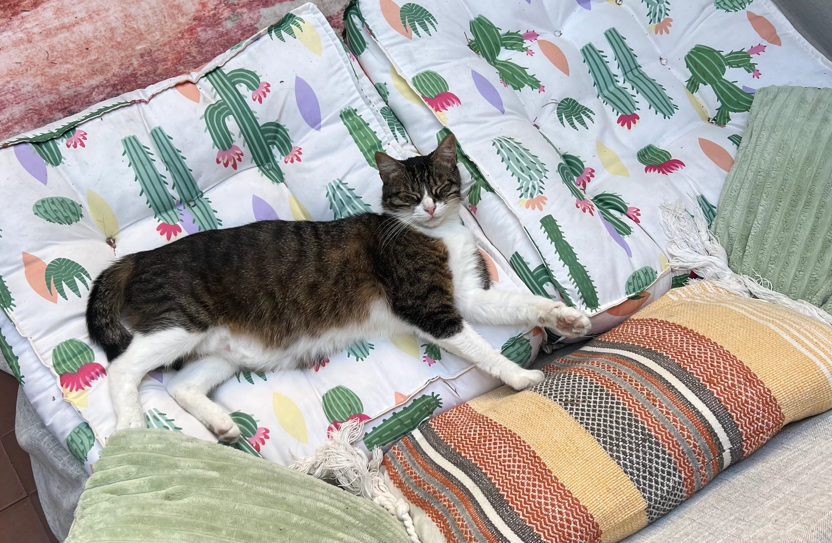 Marley  - Passeig de la Marina 240, Castelldefels