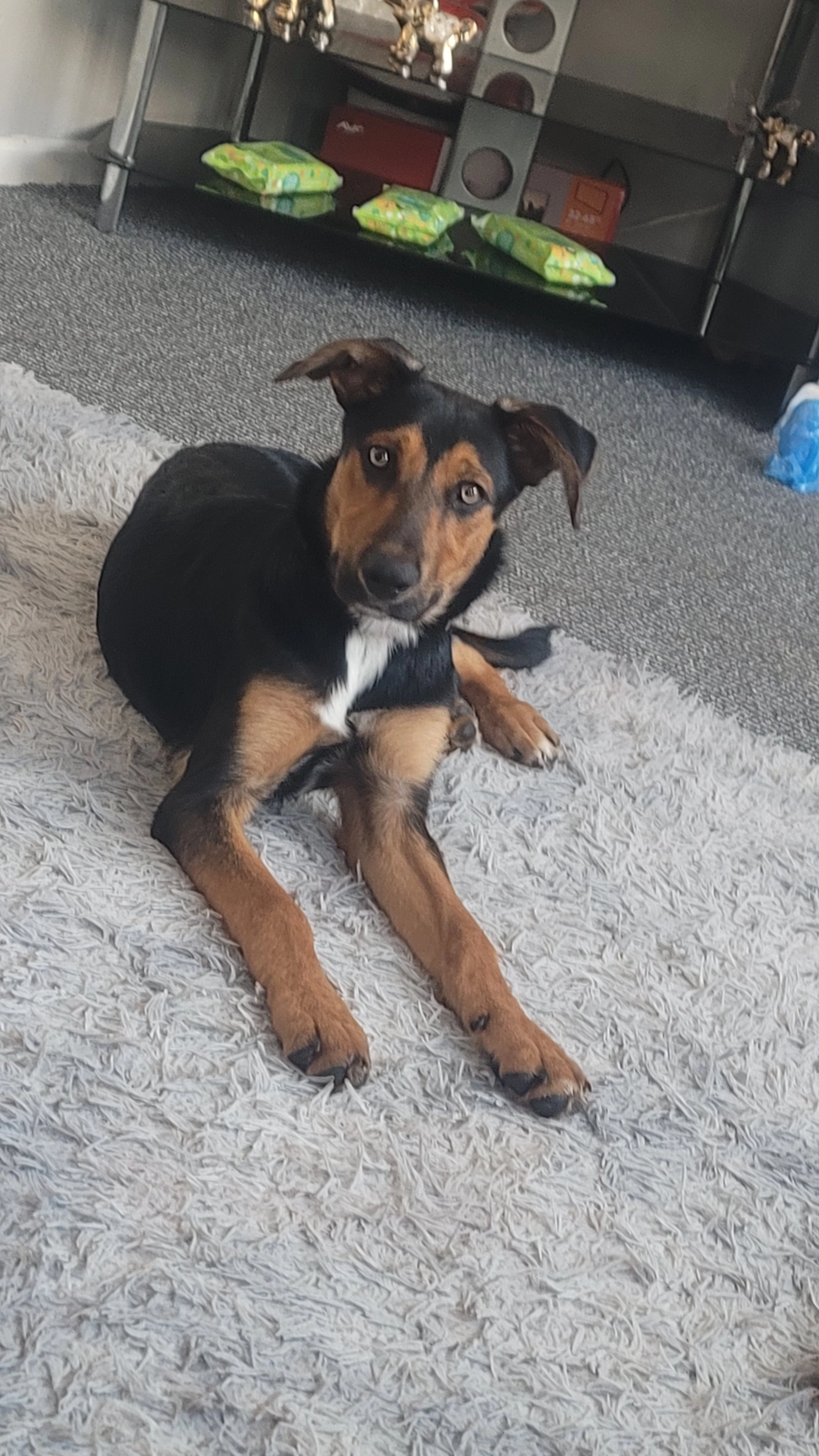 Tk - 83 Charlotte Street, Sittingbourne