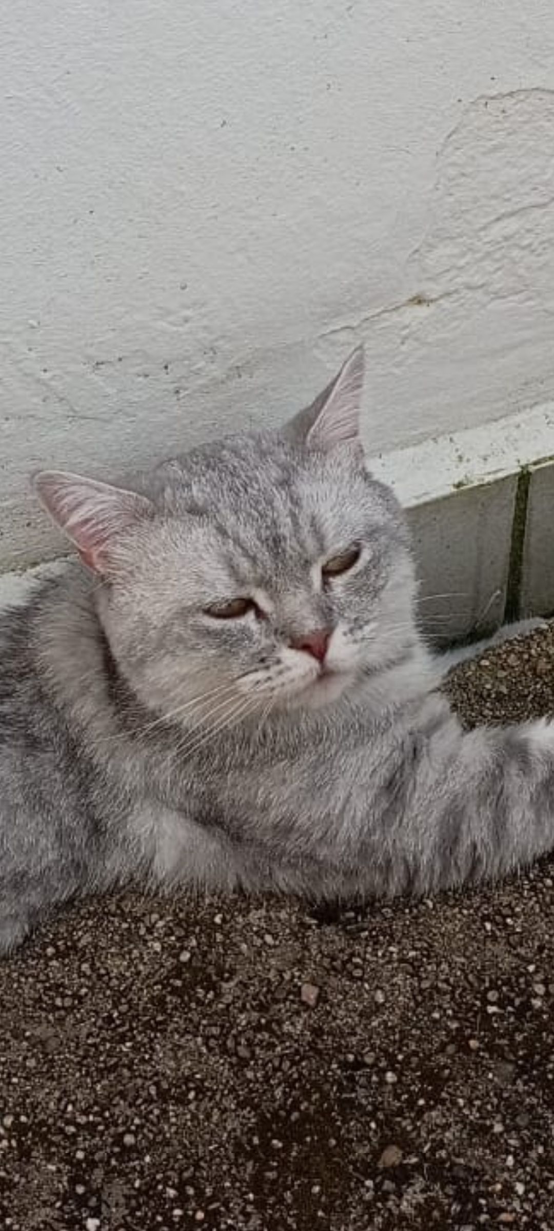 Felix - Taubenteicher Weg, Bad Lippspringe