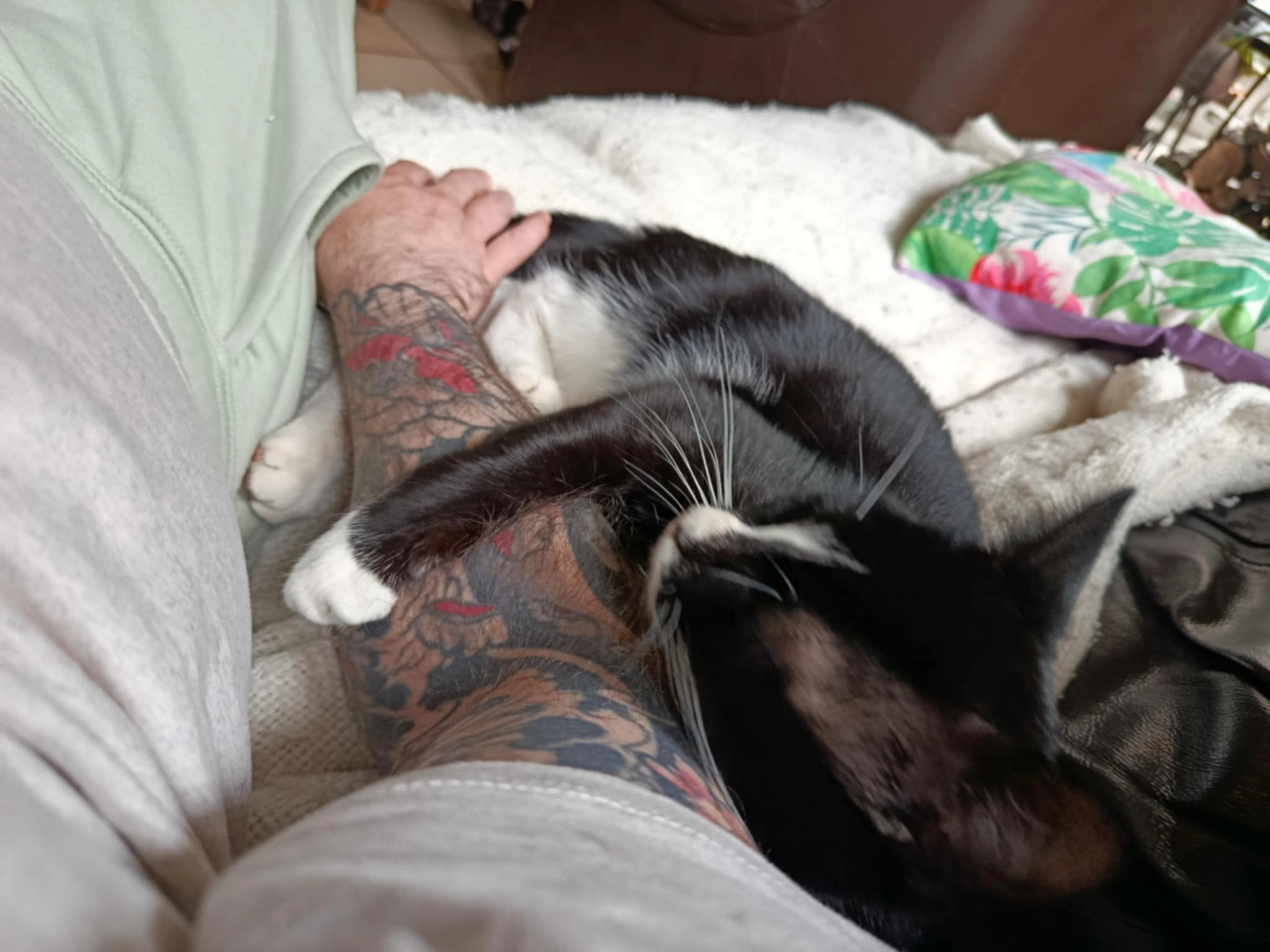 Mumul - Grand'Place, Saint-Ghislain