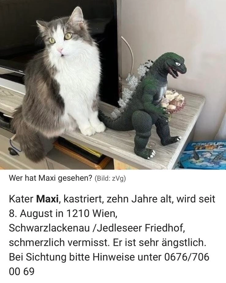 Max - Audorfgasse, Wien