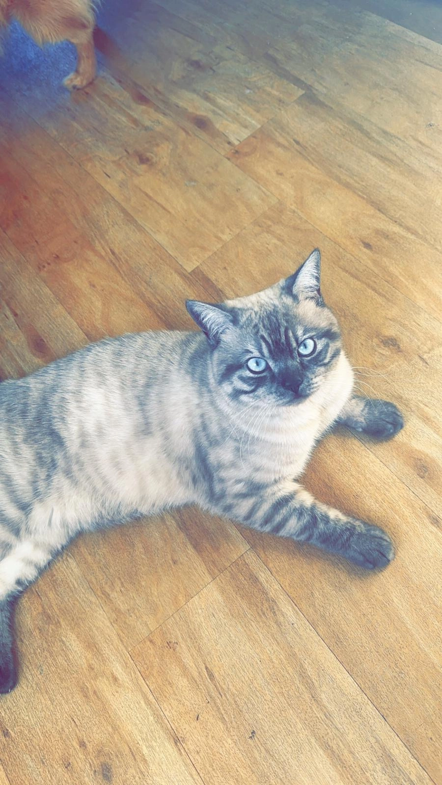 Bounty - Salzburger Straße, Ludwigshafen am Rhein