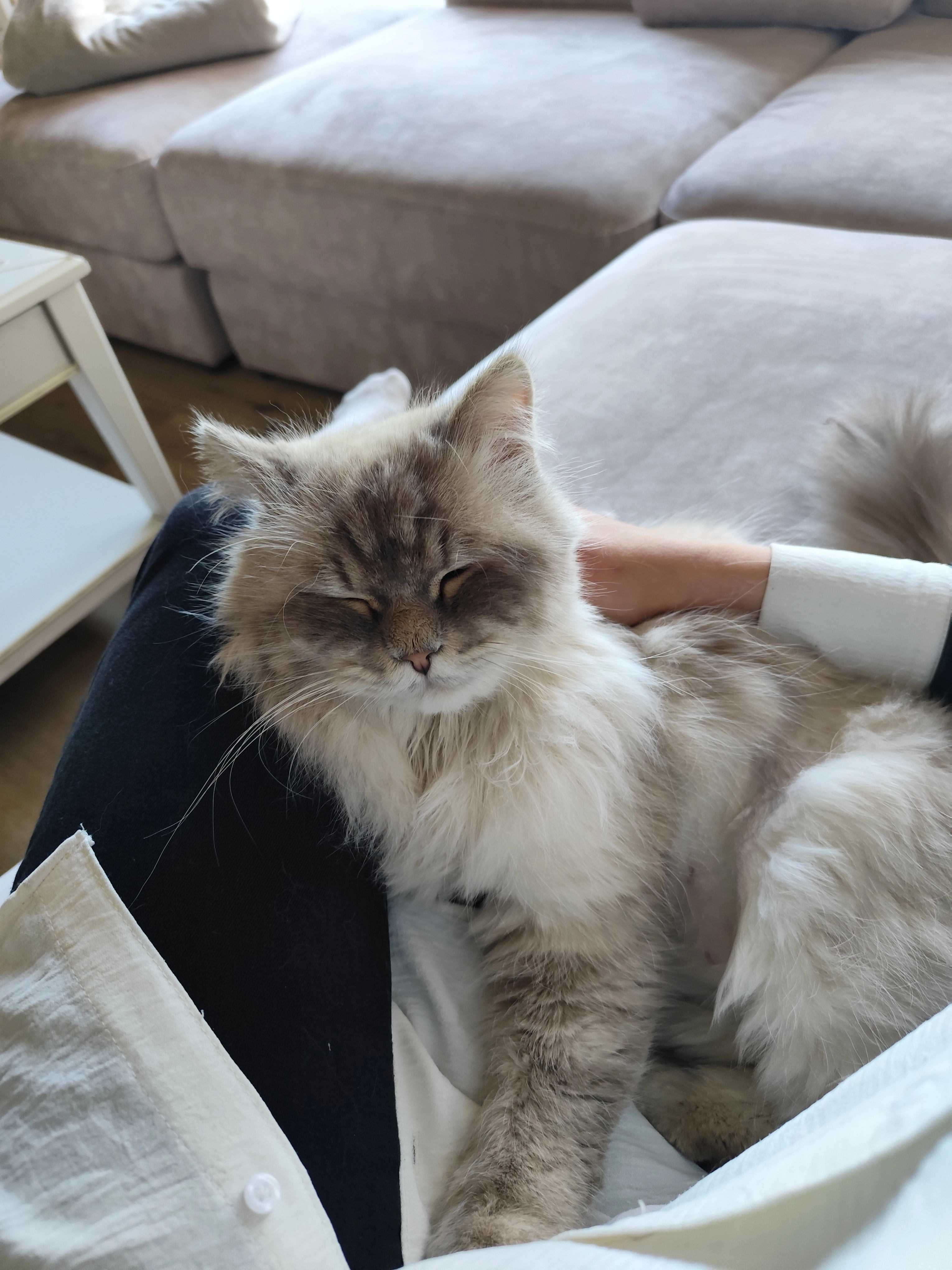 Ossy - Friedenstraße 4, Temnitztal