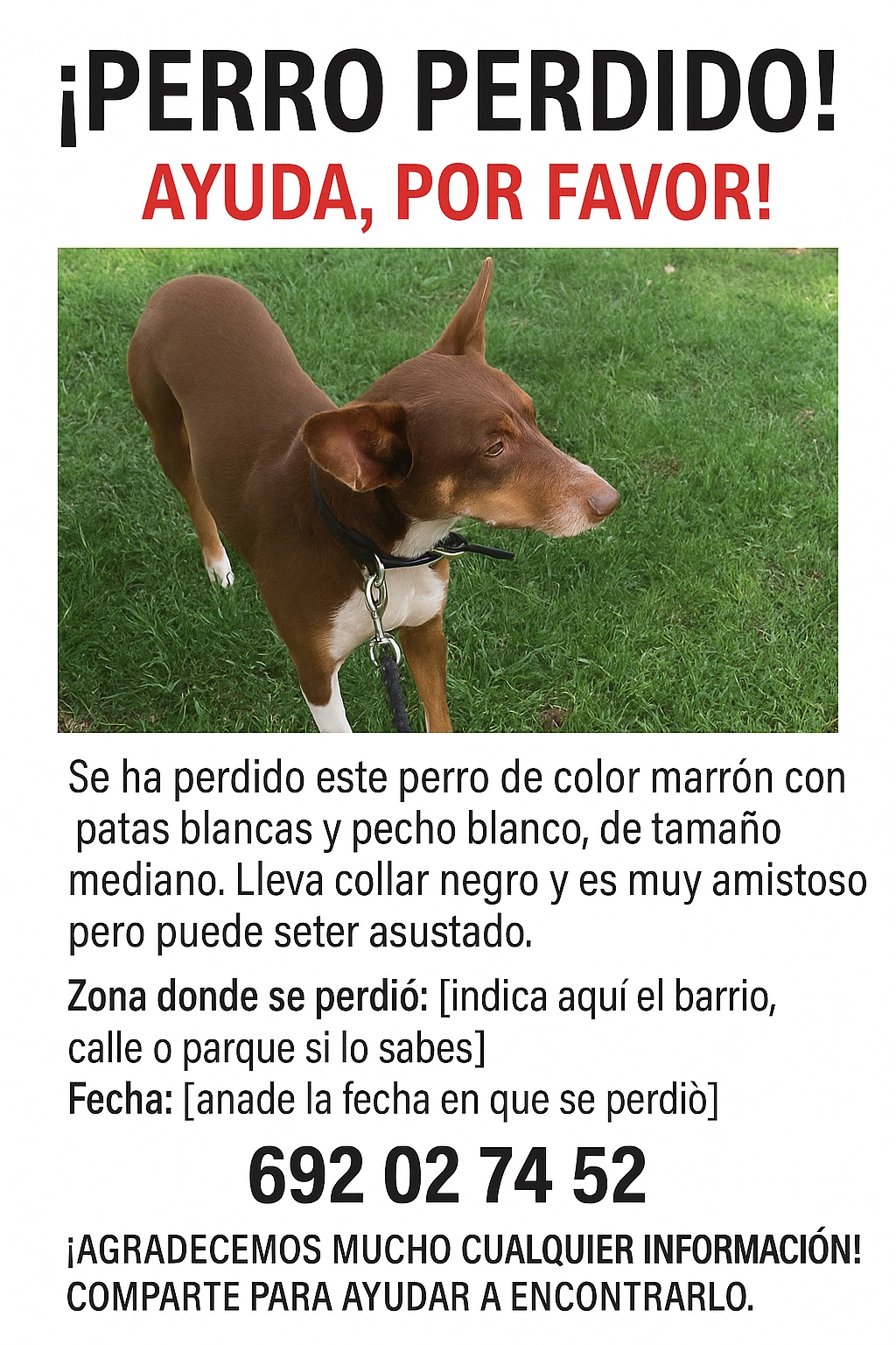 Bro - Carretera De El Plantío, Majadahonda