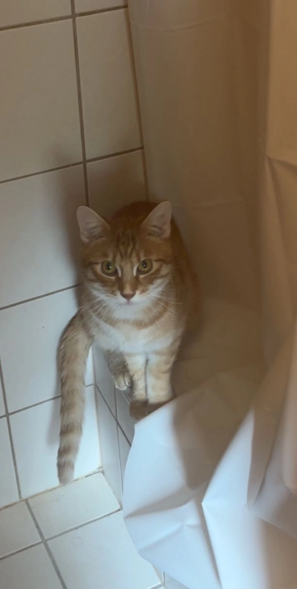 Weny  - Unterer Katzenbergweg, Würzburg