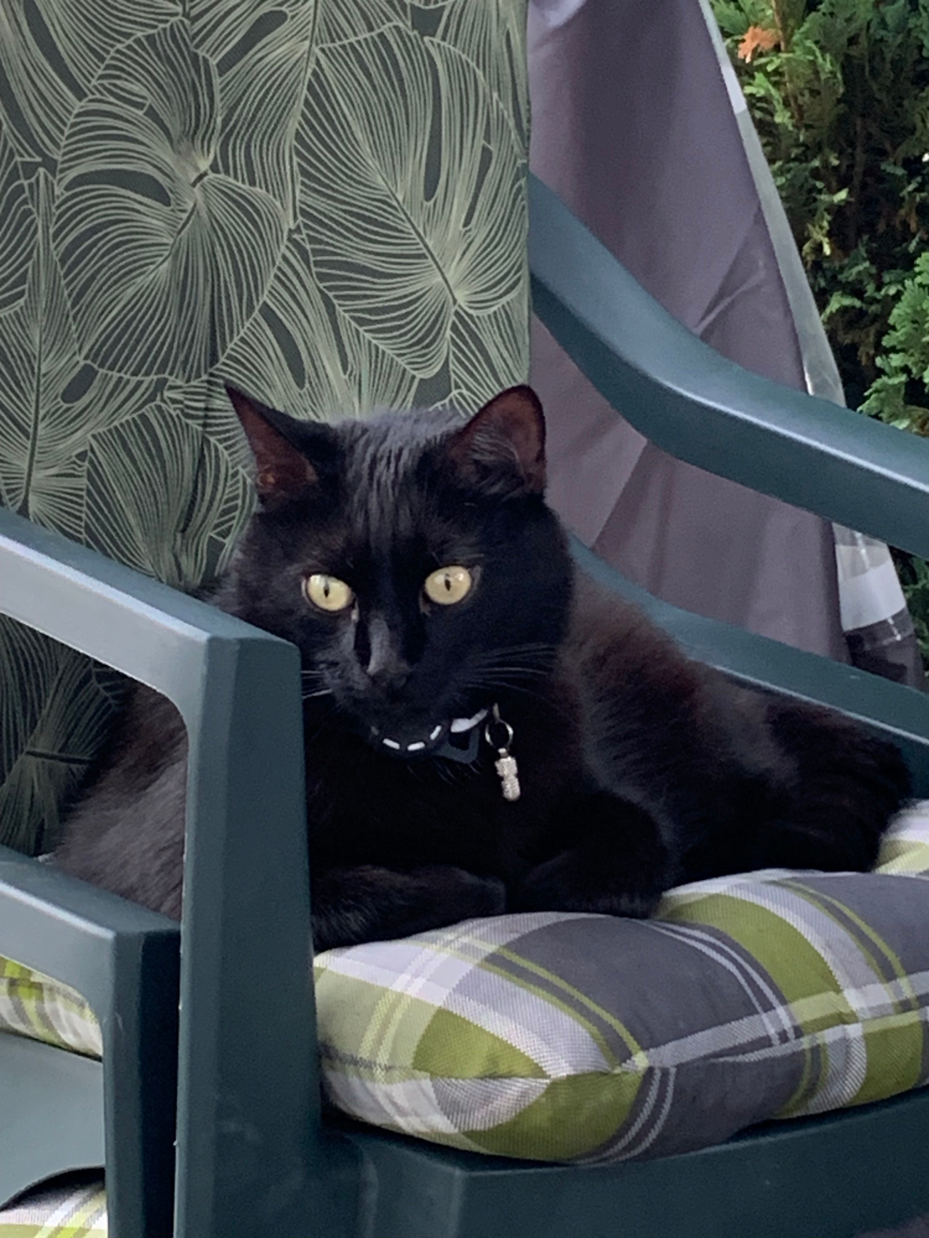 Vasyl - Goethestraße, Hemhofen