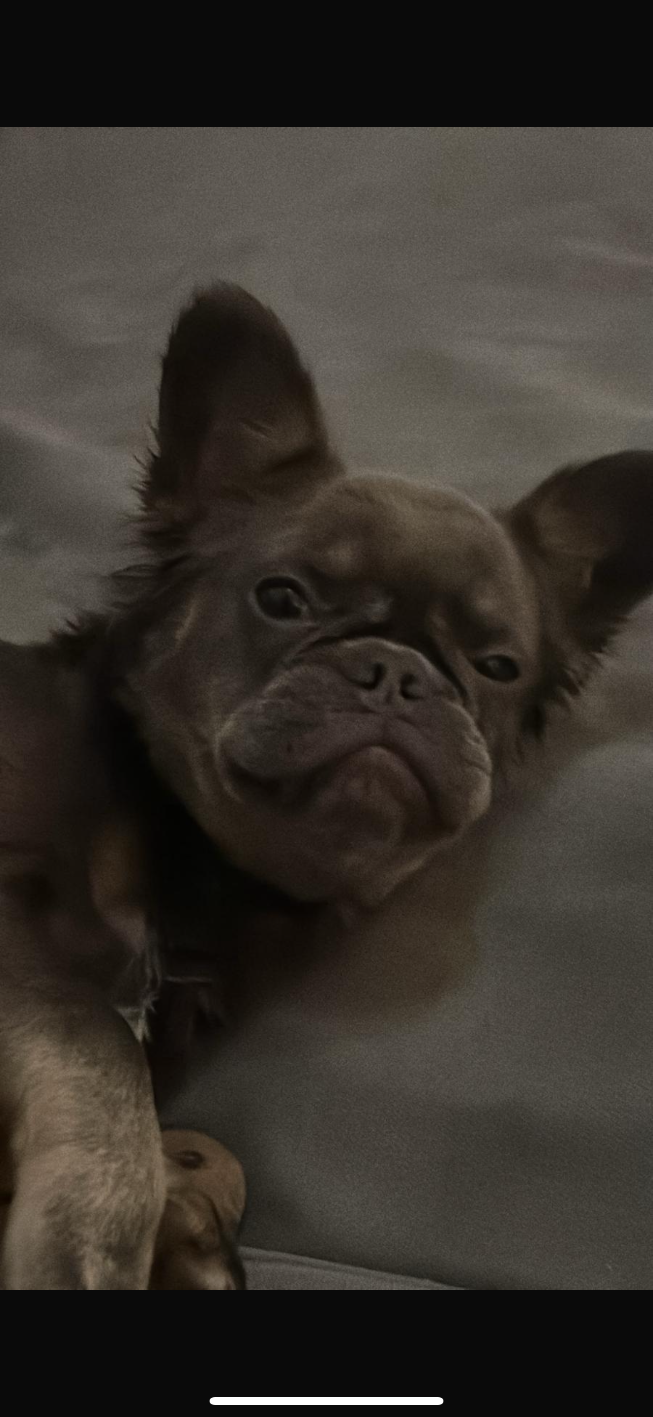 Asuna  - Krondorfer Straße, Bitterfeld-Wolfen