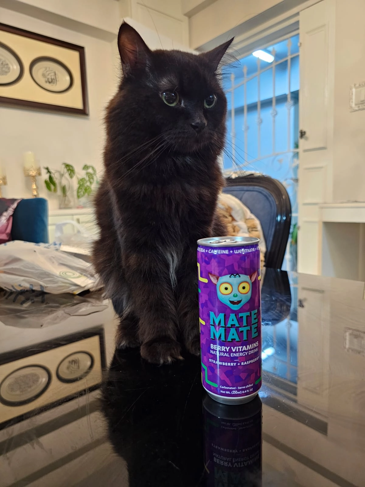 Kiara - Woodlands Drive 14, Singapore