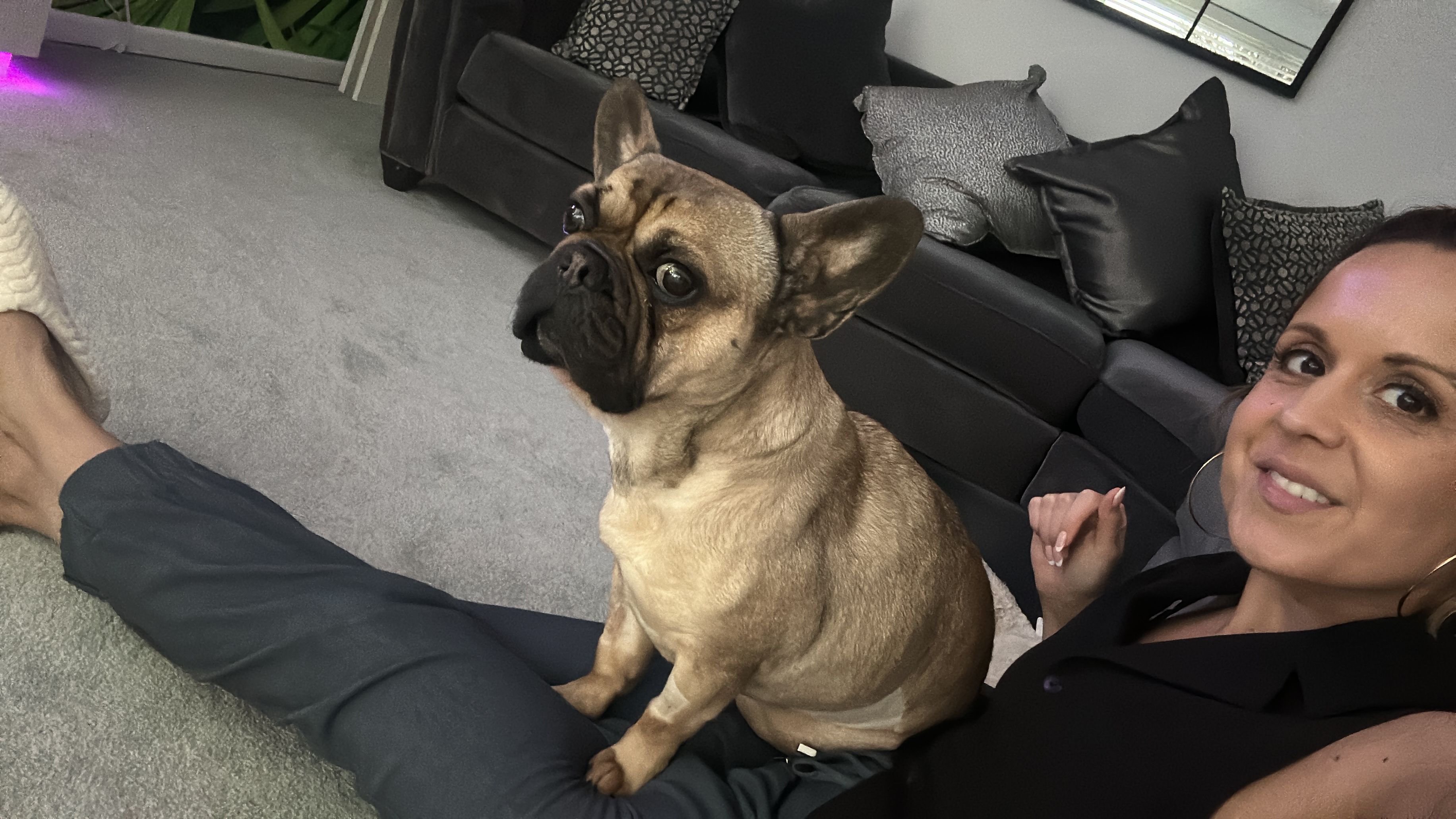 Freddy - Lower Blandford Road, Broadstone